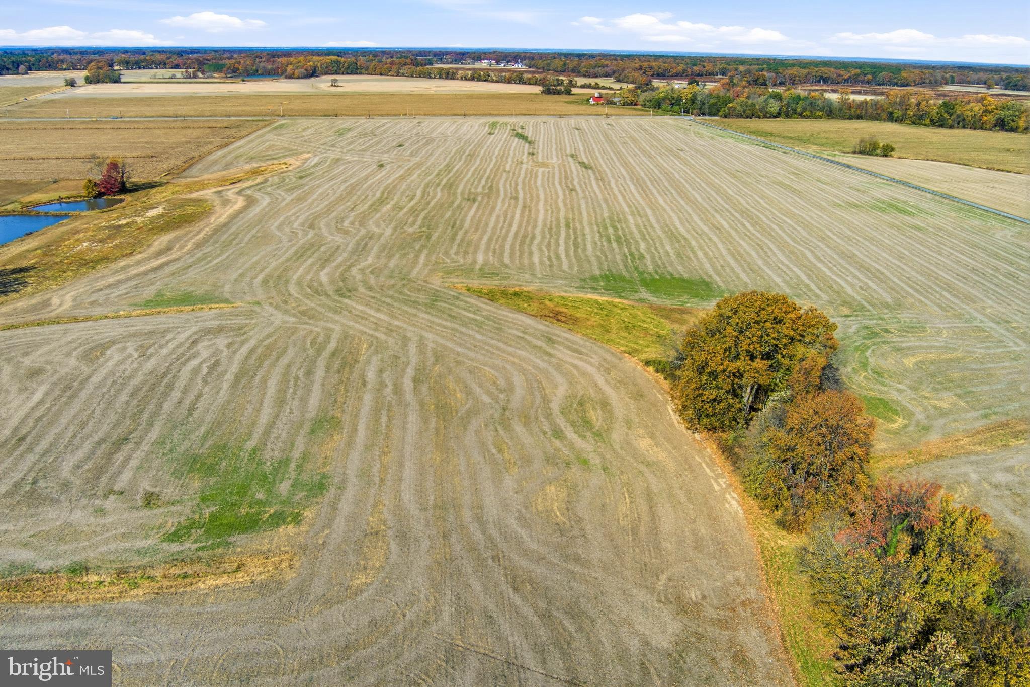 KENT COUNTY - Farm
