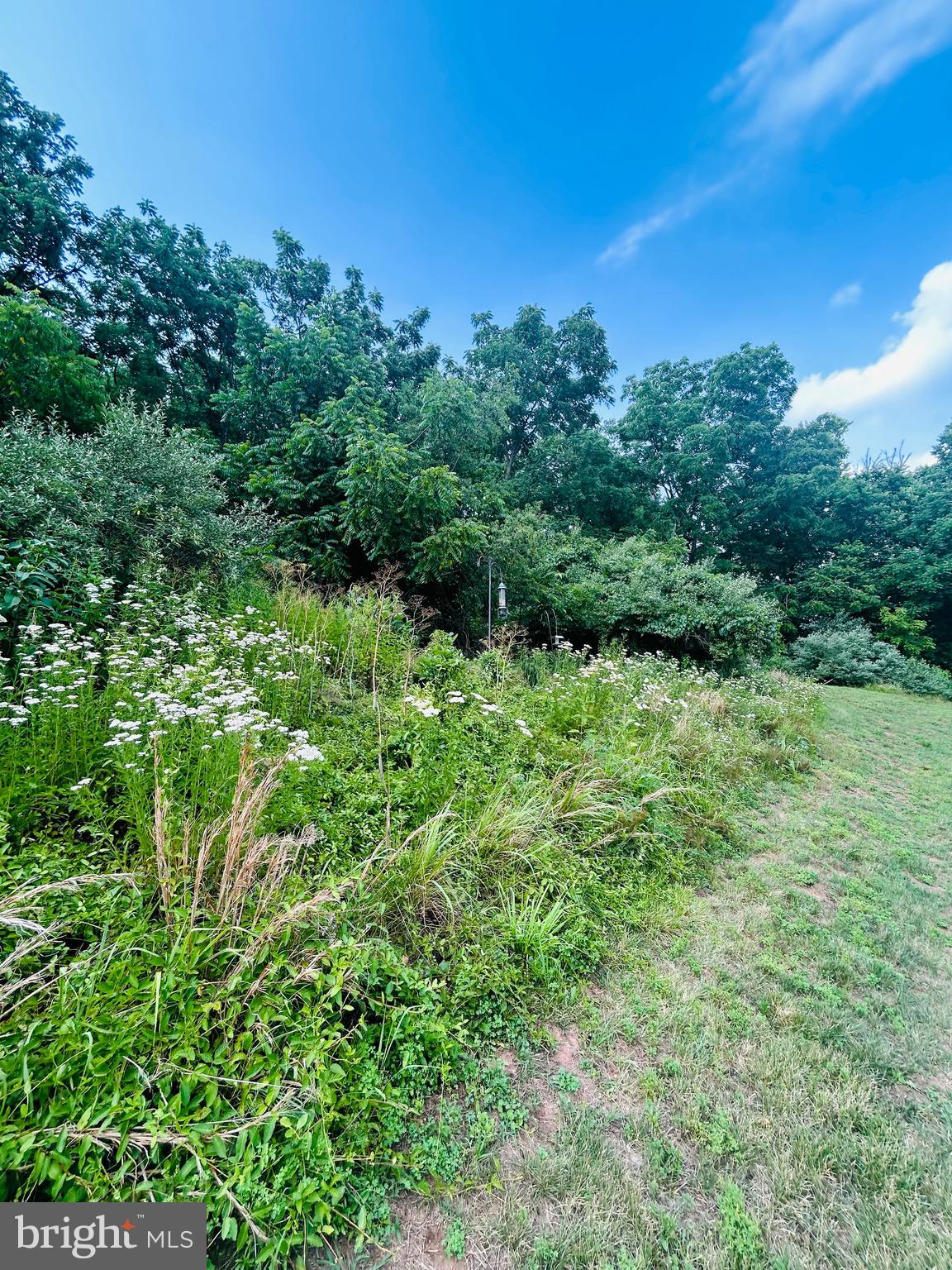 BIRCHWOOD - Residential