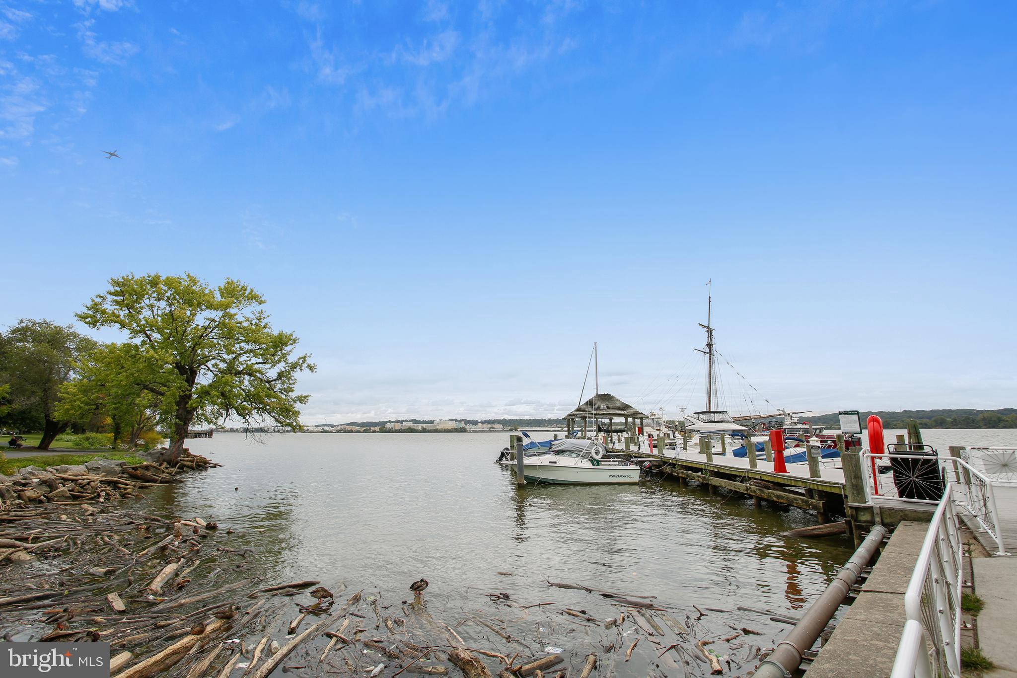 BACKYARD BOATS - Residential