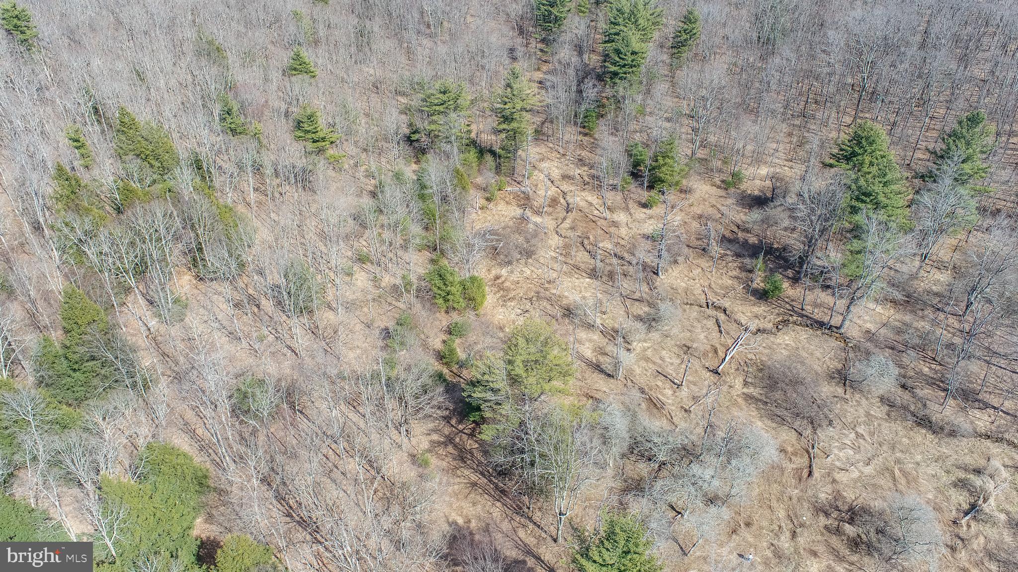 MEADOW MOUNTAIN TRAILS - Residential