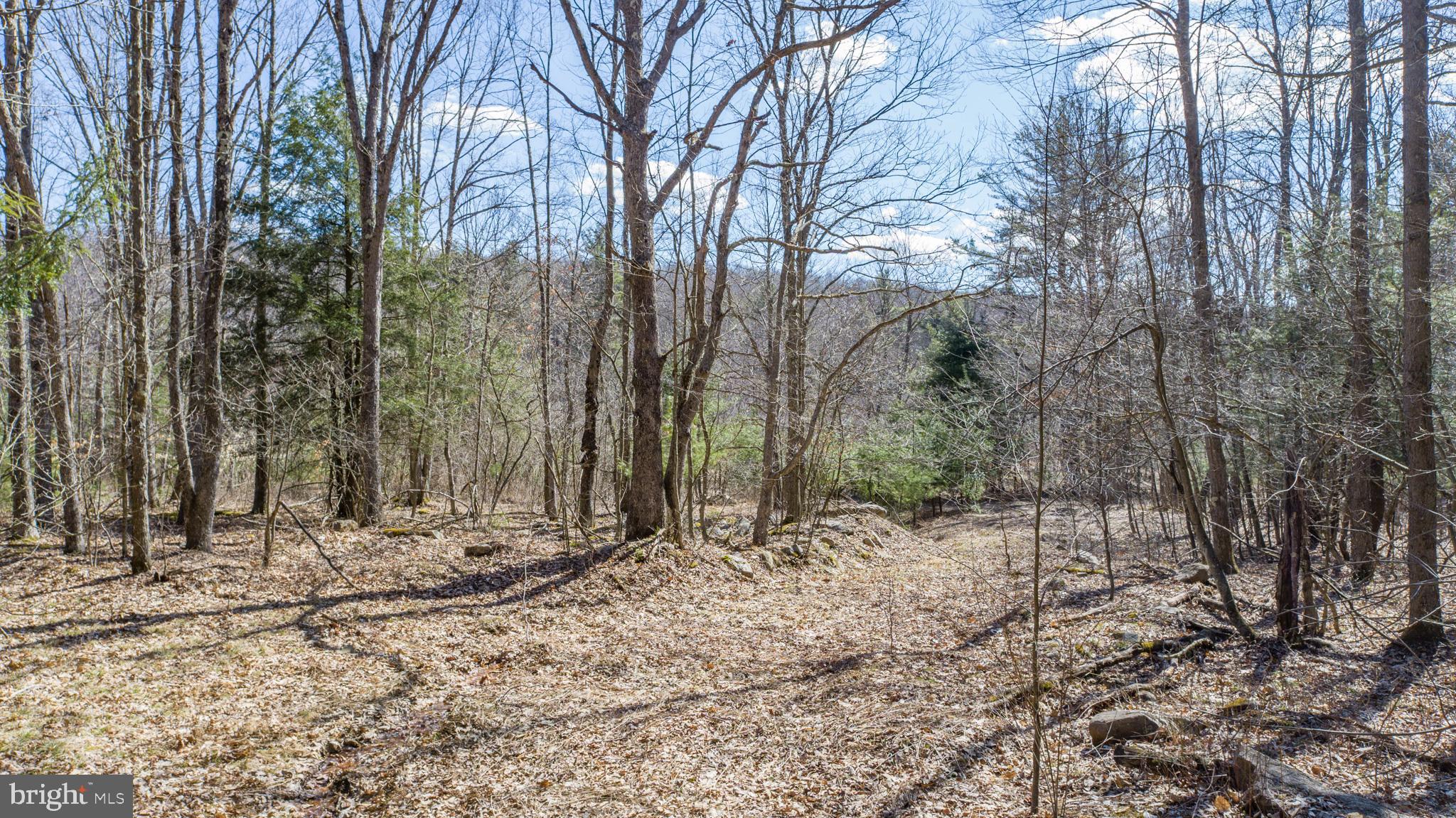 MEADOW MOUNTAIN TRAILS - Residential