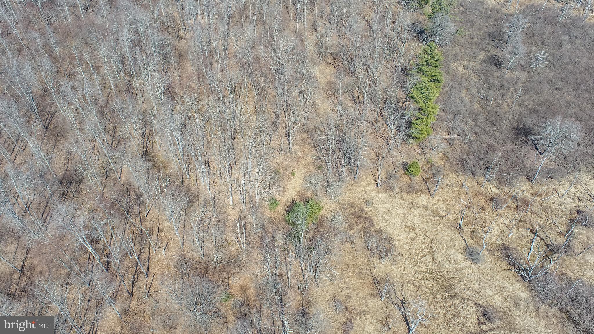 MEADOW MOUNTAIN TRAILS - Residential