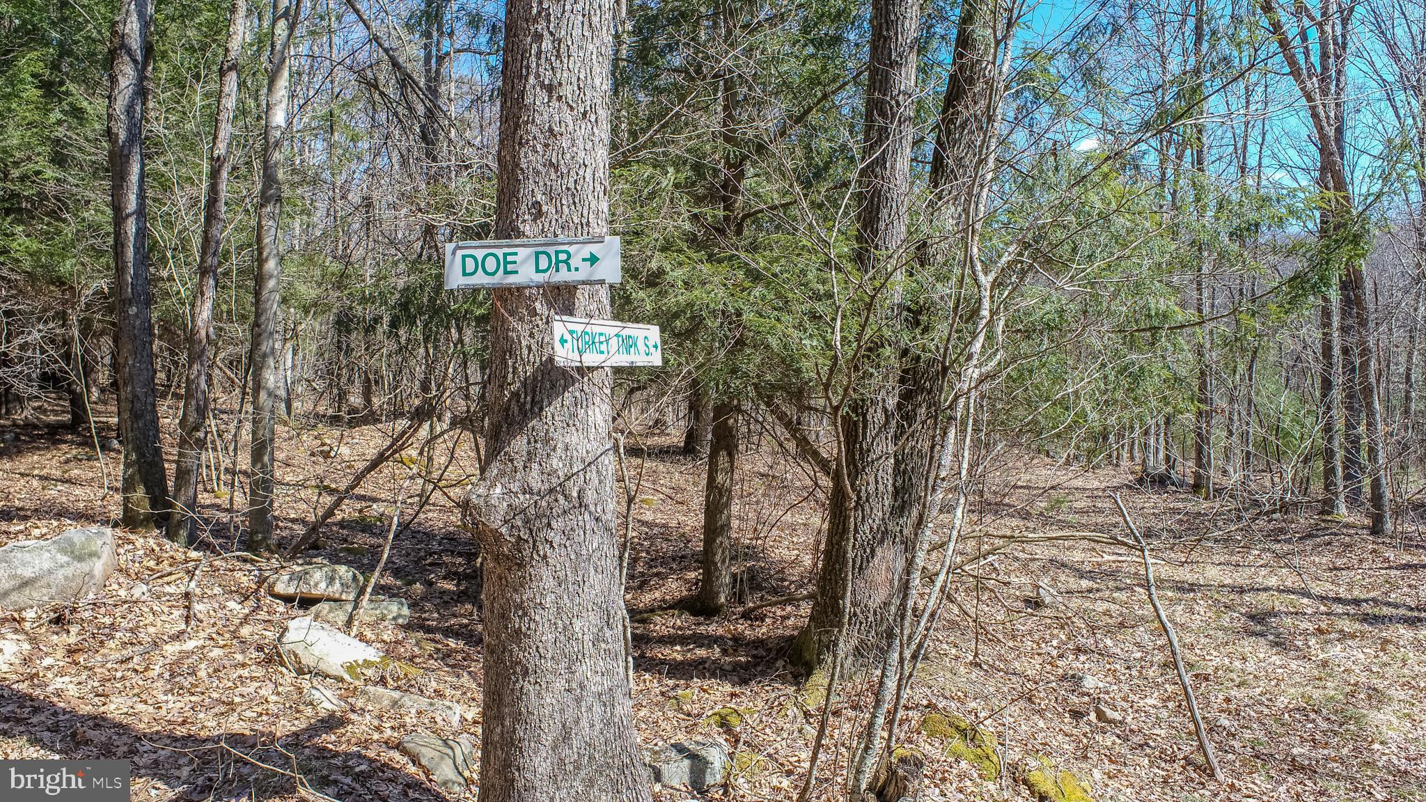 MEADOW MOUNTAIN TRAILS - Residential