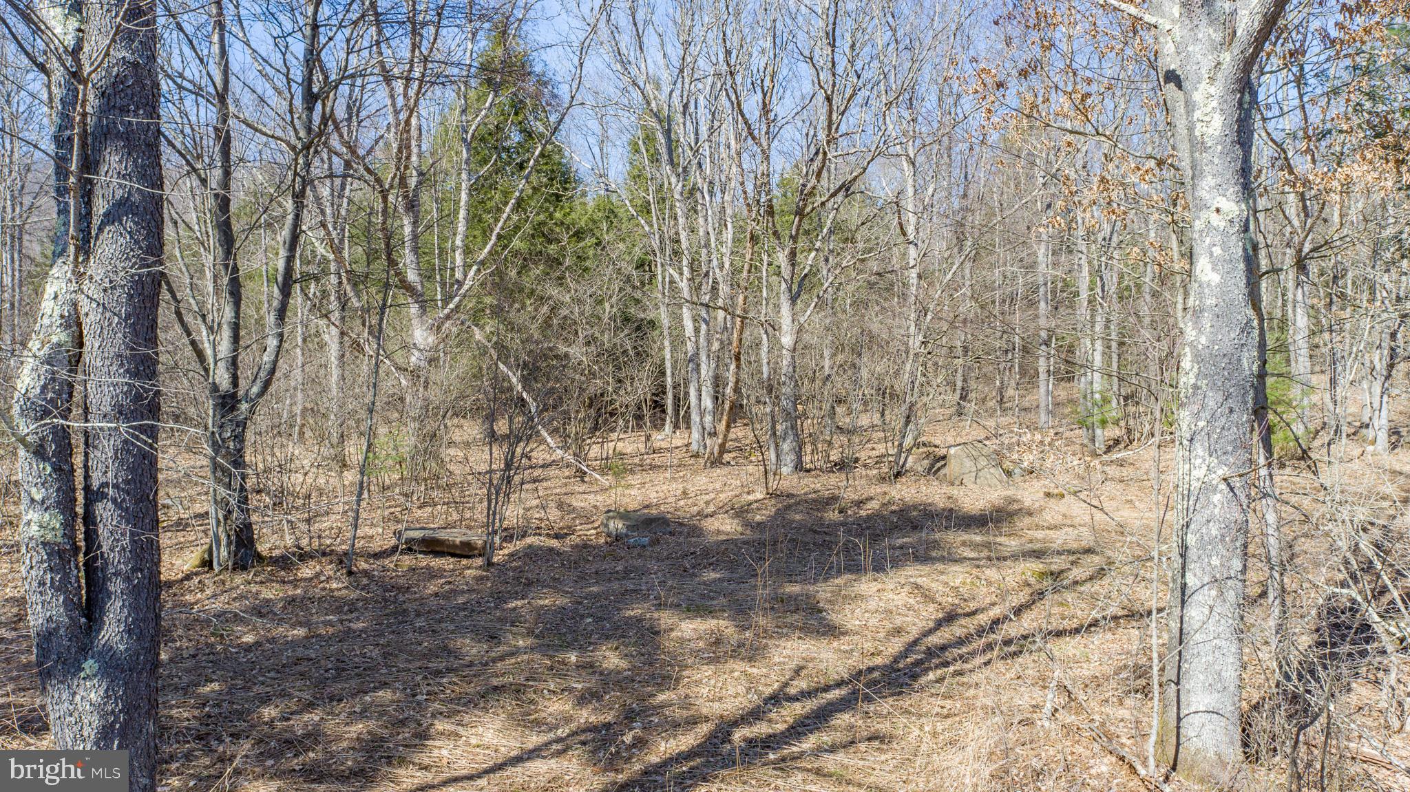 MEADOW MOUNTAIN TRAILS - Residential
