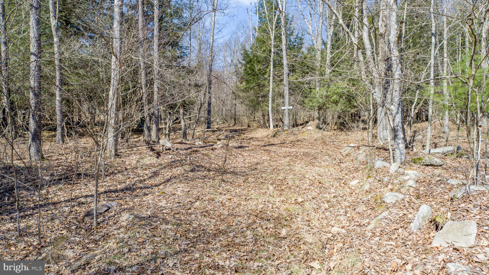 MEADOW MOUNTAIN TRAILS - Residential