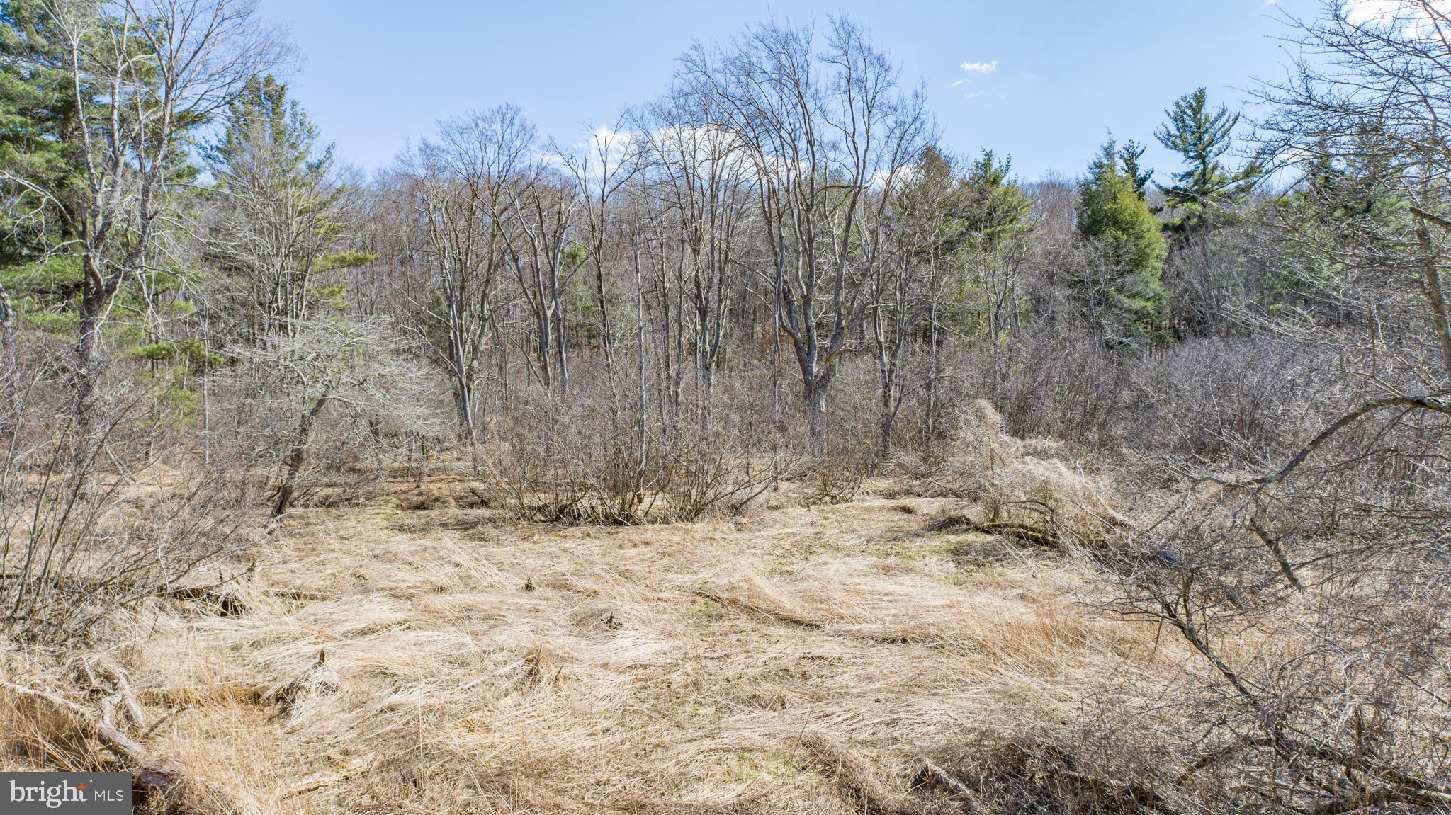 MEADOW MOUNTAIN TRAILS - Residential