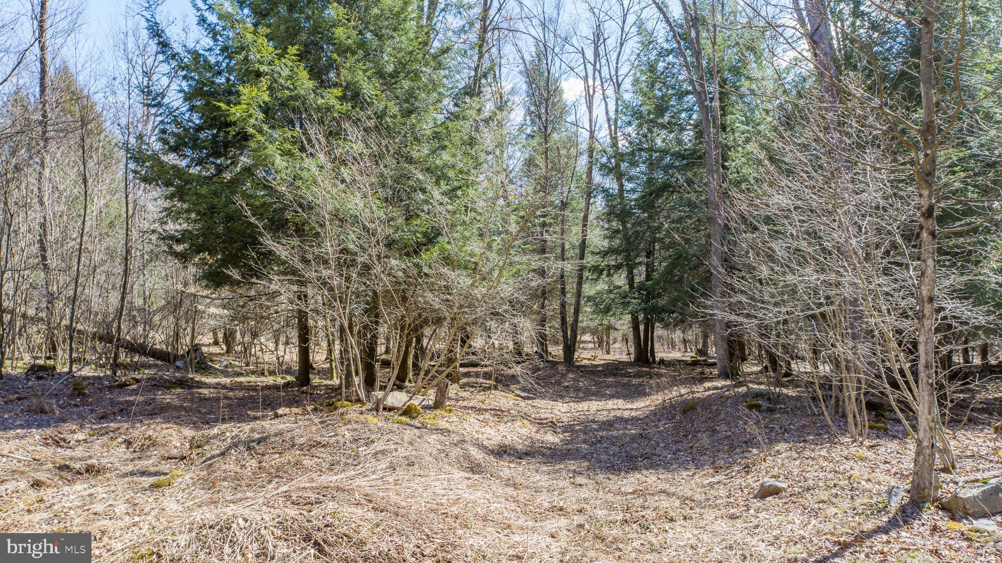 MEADOW MOUNTAIN TRAILS - Residential