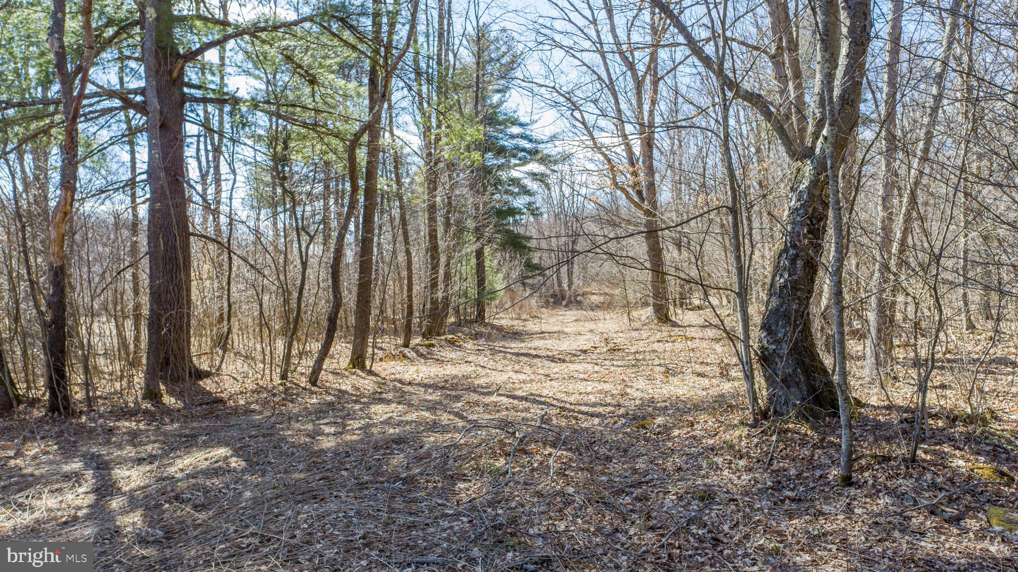MEADOW MOUNTAIN TRAILS - Residential