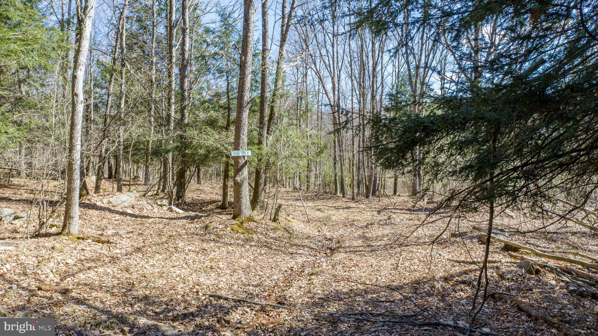 MEADOW MOUNTAIN TRAILS - Residential
