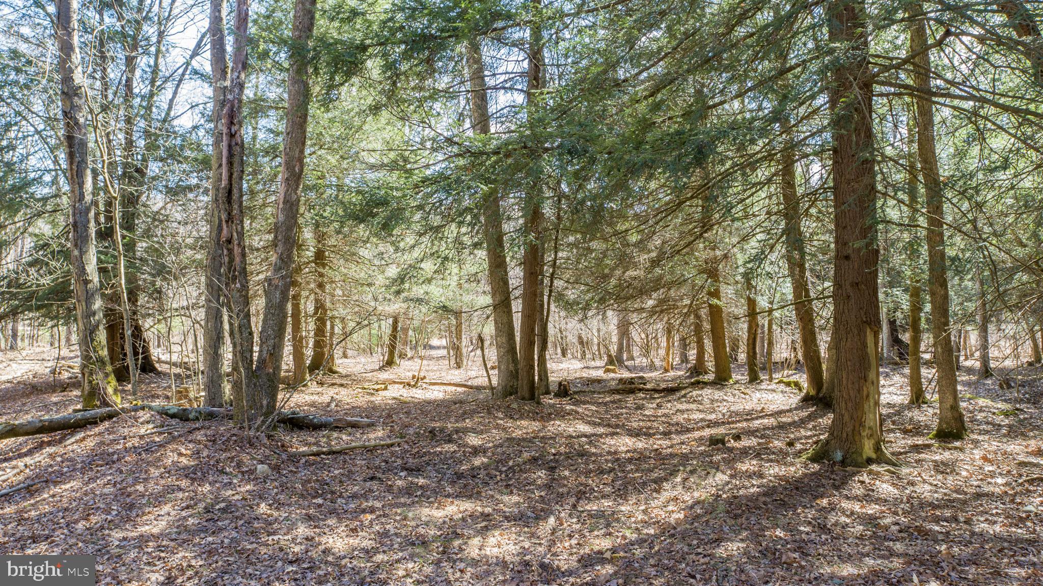 MEADOW MOUNTAIN TRAILS - Residential