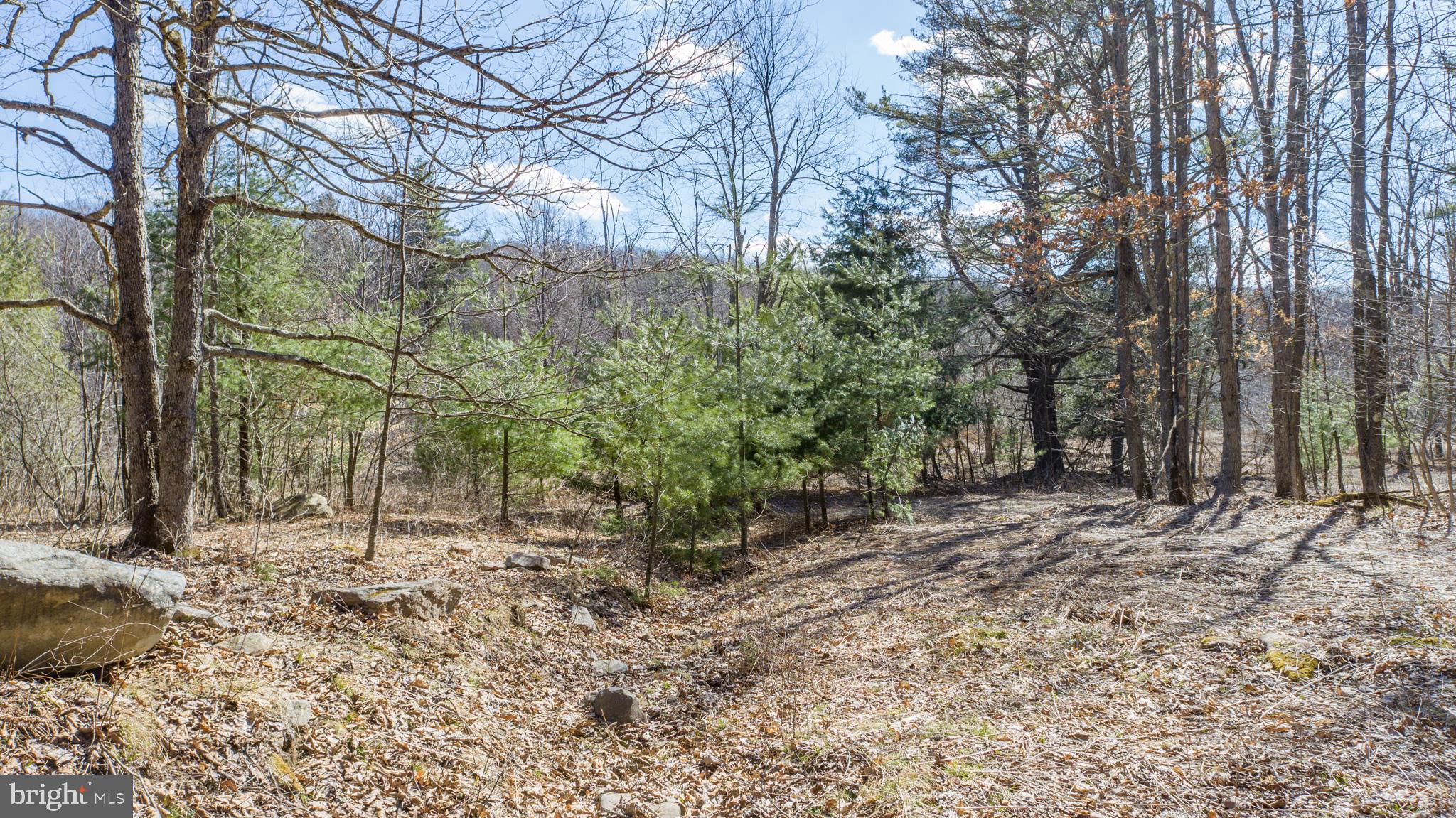 MEADOW MOUNTAIN TRAILS - Residential