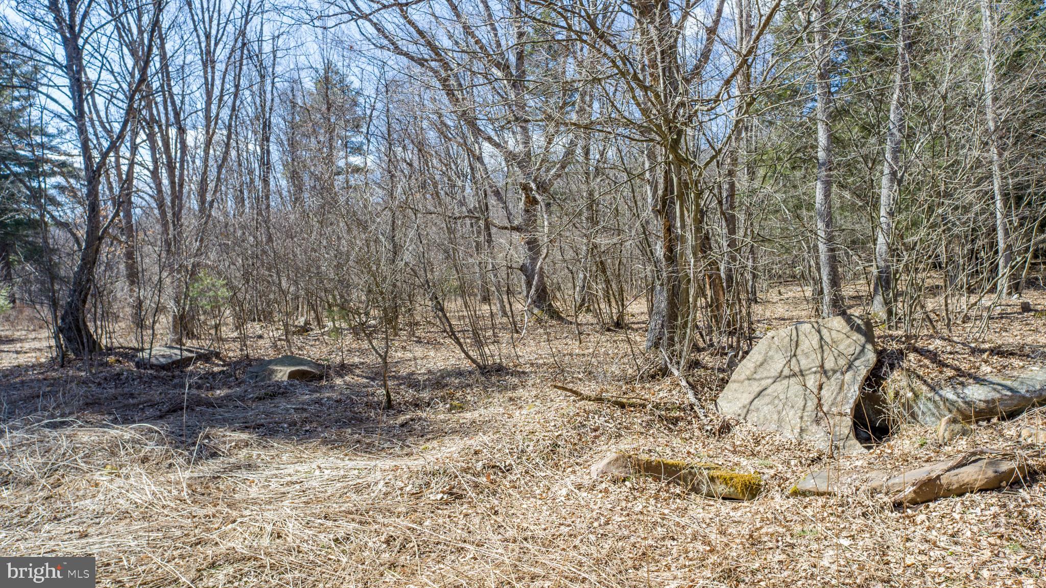 MEADOW MOUNTAIN TRAILS - Residential
