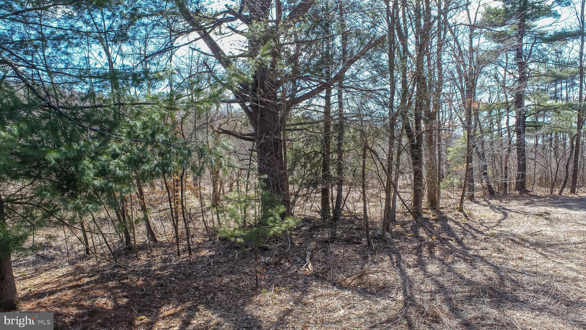 MEADOW MOUNTAIN TRAILS - Residential