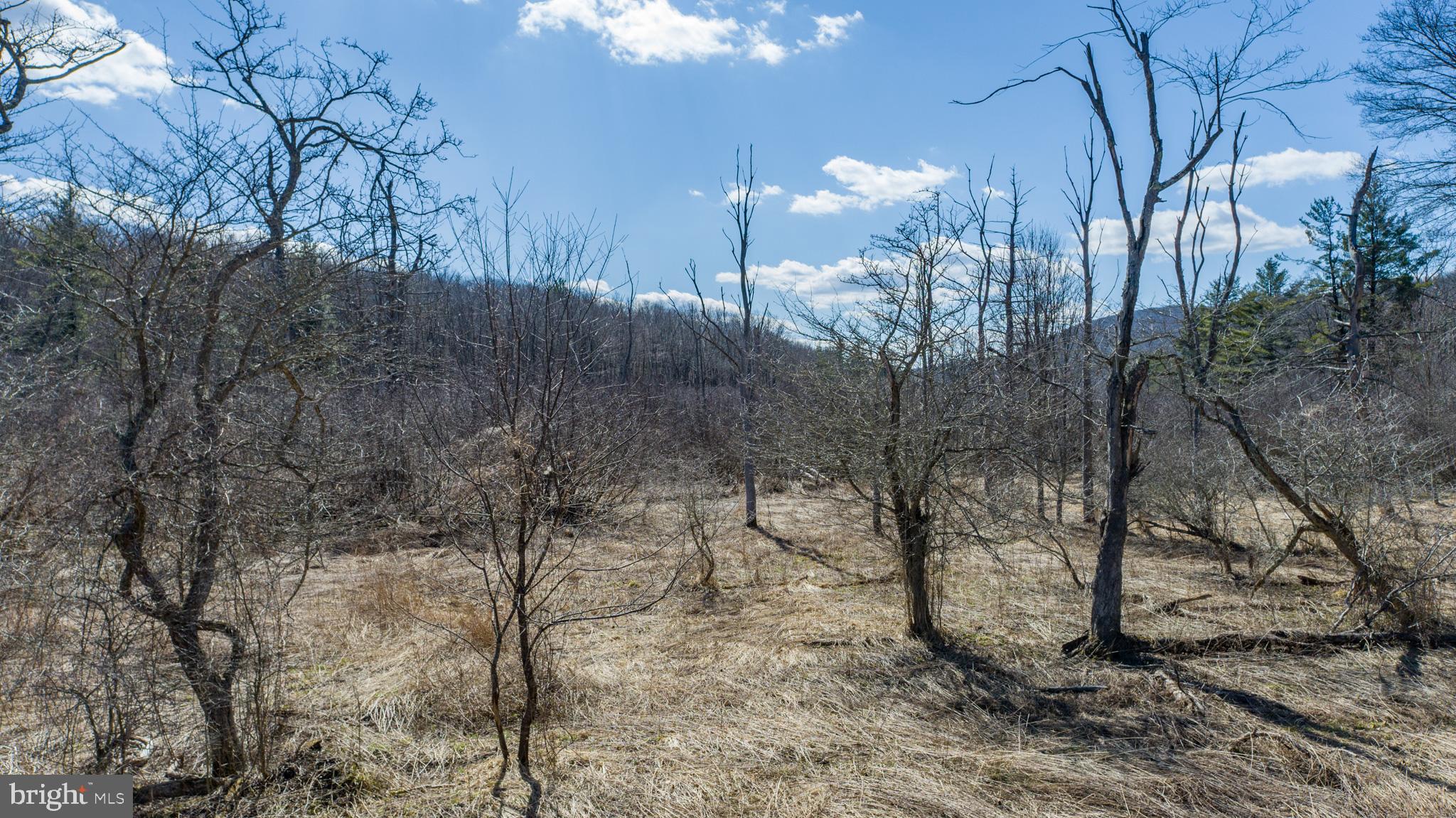 MEADOW MOUNTAIN TRAILS - Residential