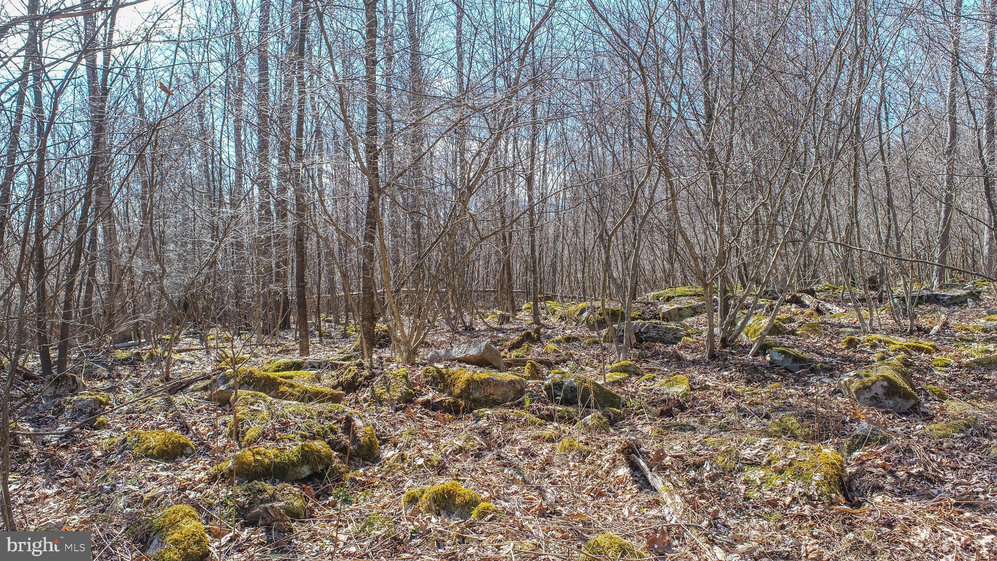 MEADOW MOUNTAIN TRAILS - Residential