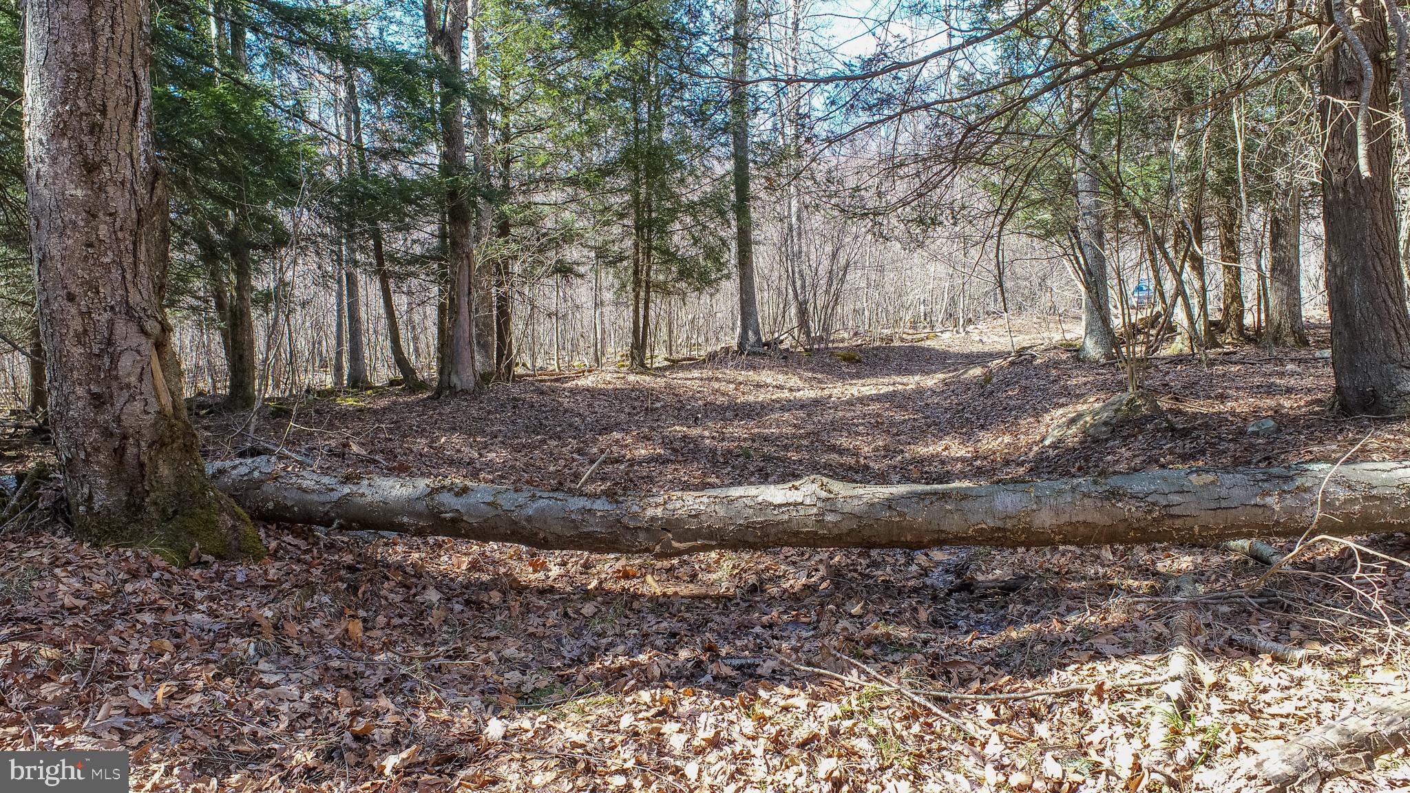 MEADOW MOUNTAIN TRAILS - Residential