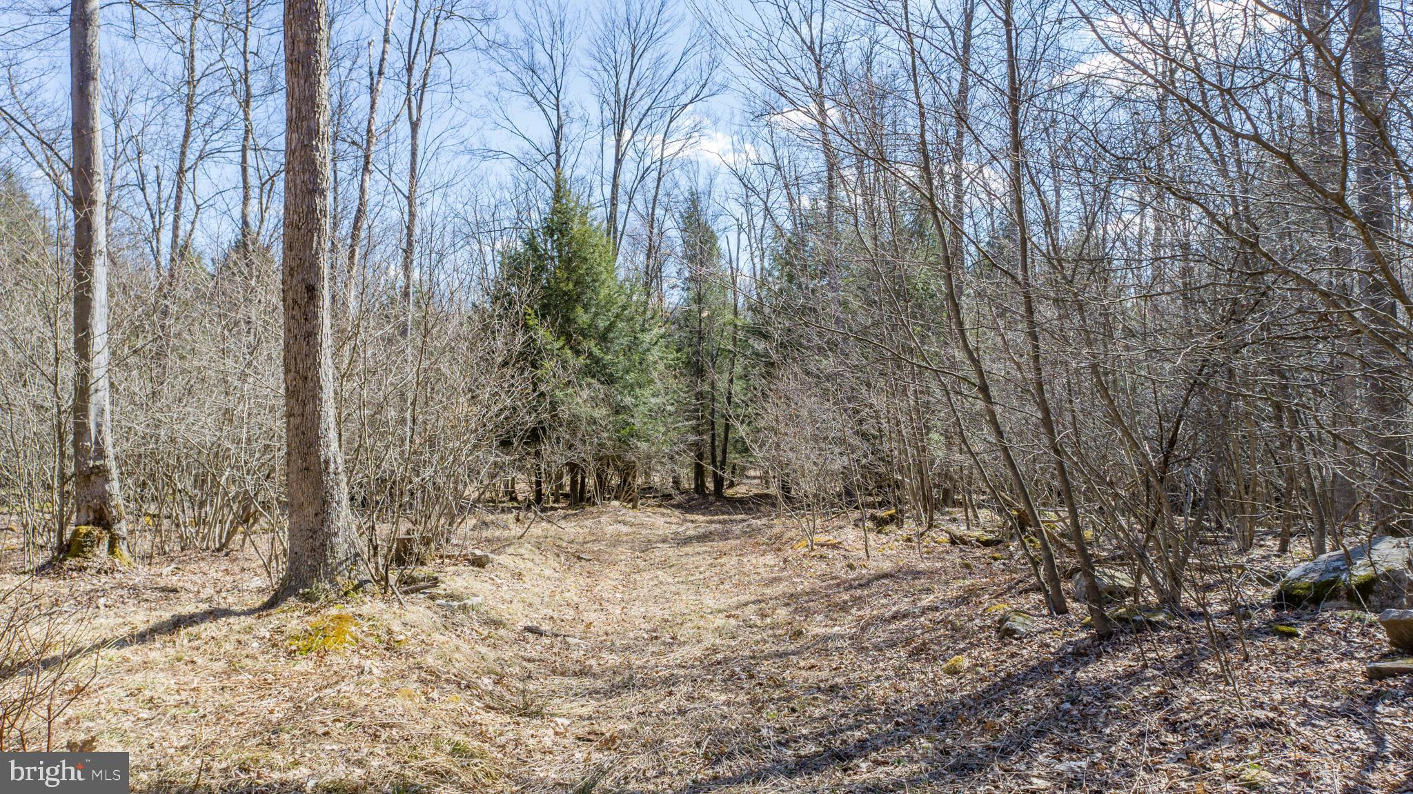 MEADOW MOUNTAIN TRAILS - Residential