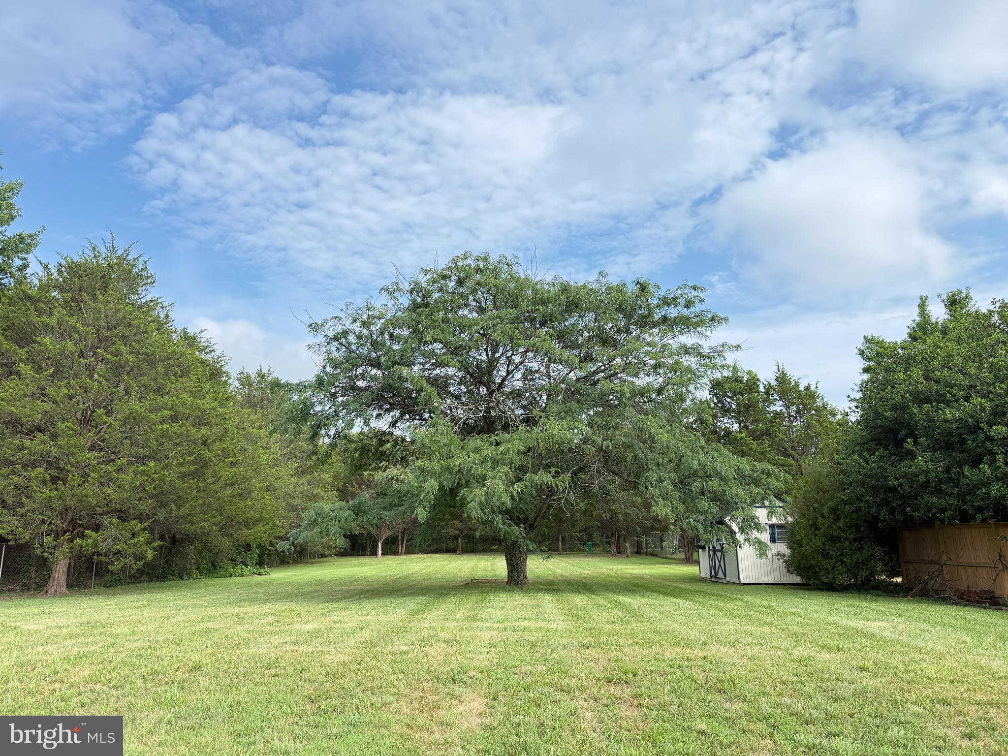 CHELTENHAM WOODS - Residential