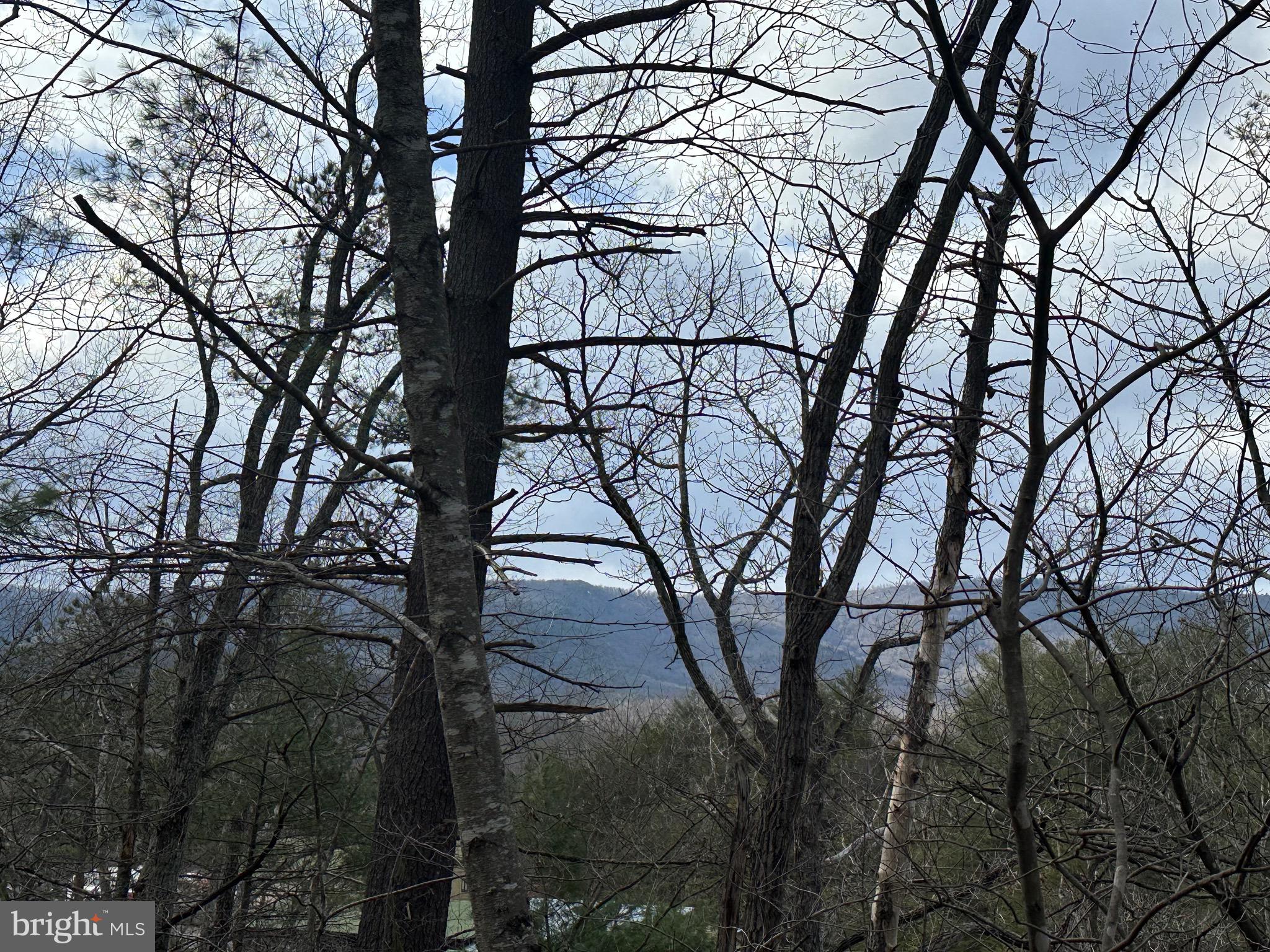 Building Lot located close to Lake Laura on Bryce Resort and just minutes from Historic Shrinemont in Orkney Springs, Va.  Easy access to Dining, all Resort activities that include Golf, Skiing, Mountain Biking, Swimming ad MORE!
