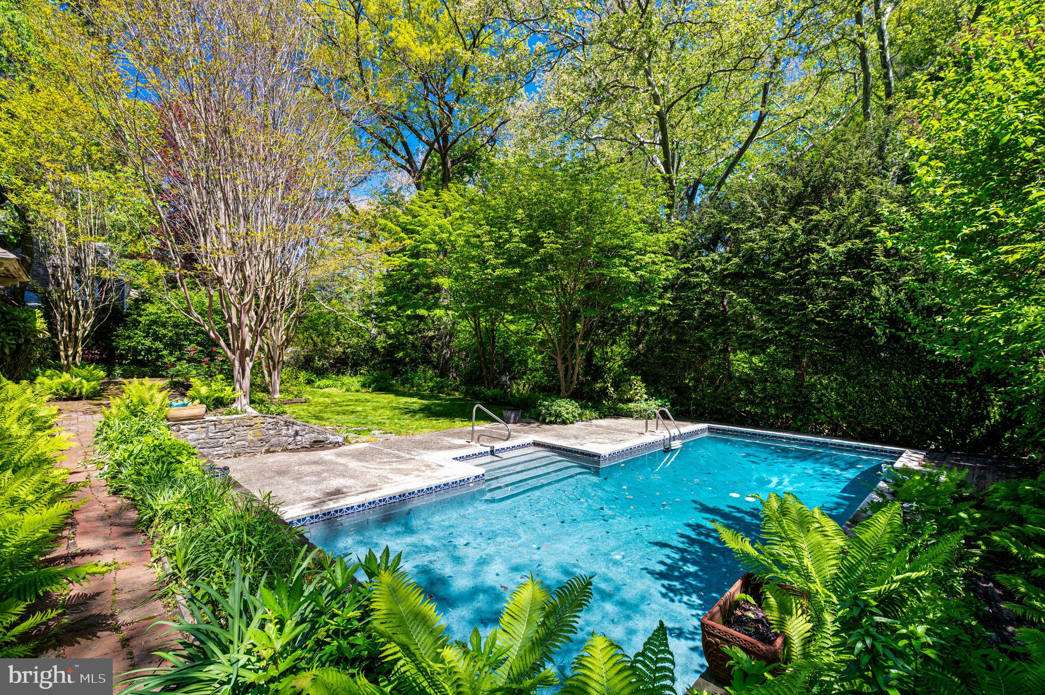 CHESTNUT HILL - Residential