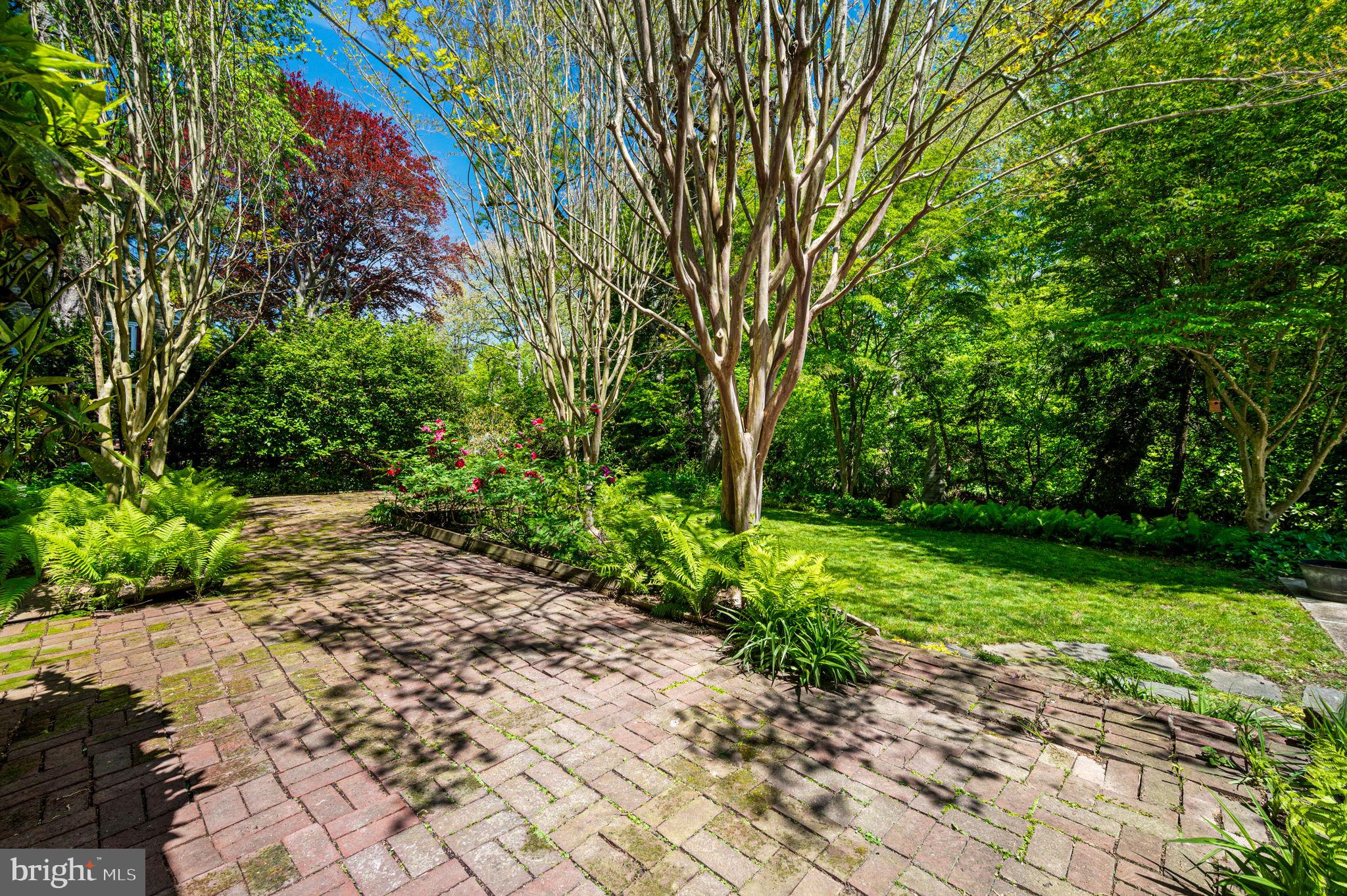 CHESTNUT HILL - Residential