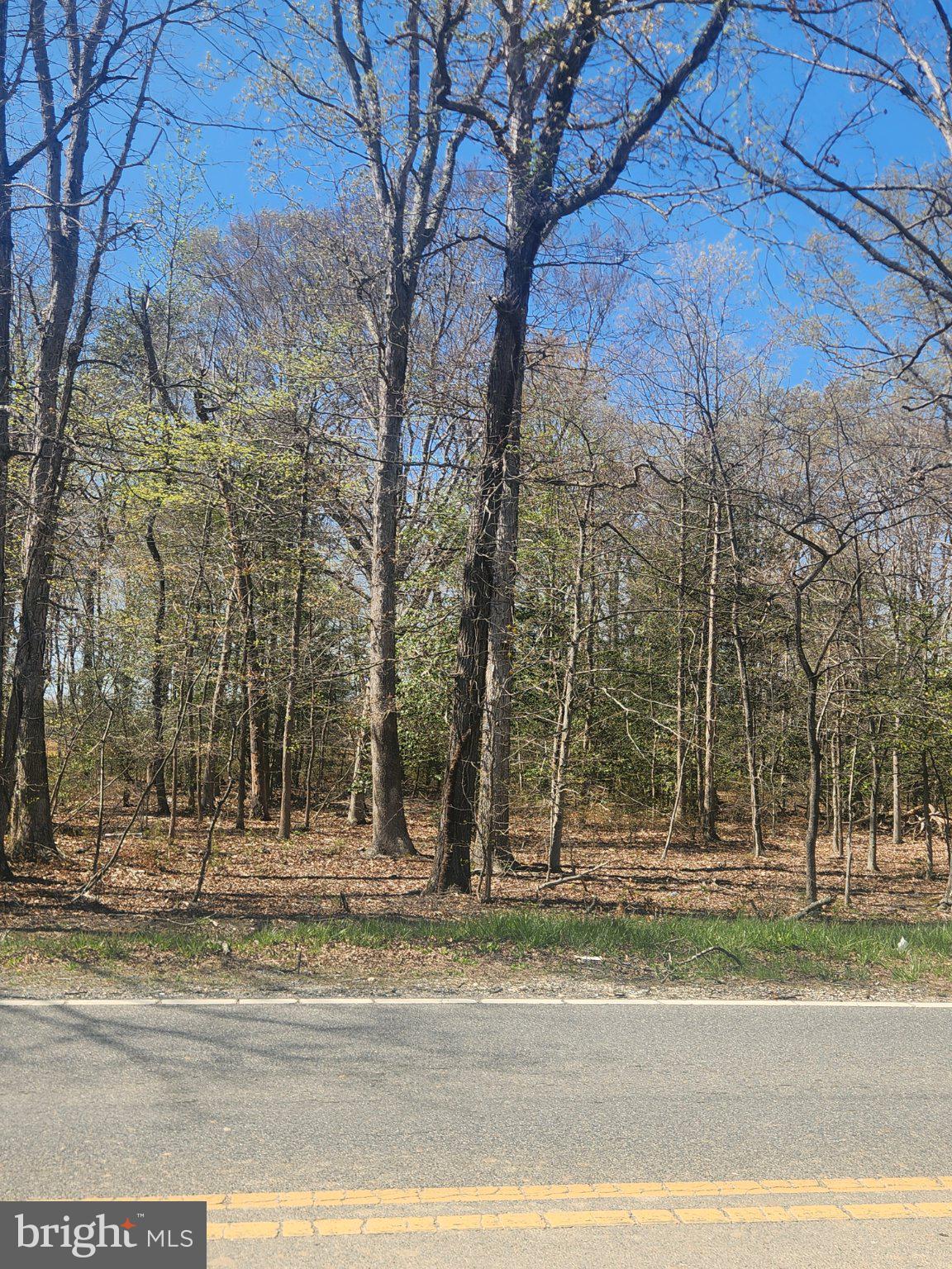 EARLY MANOR - Land