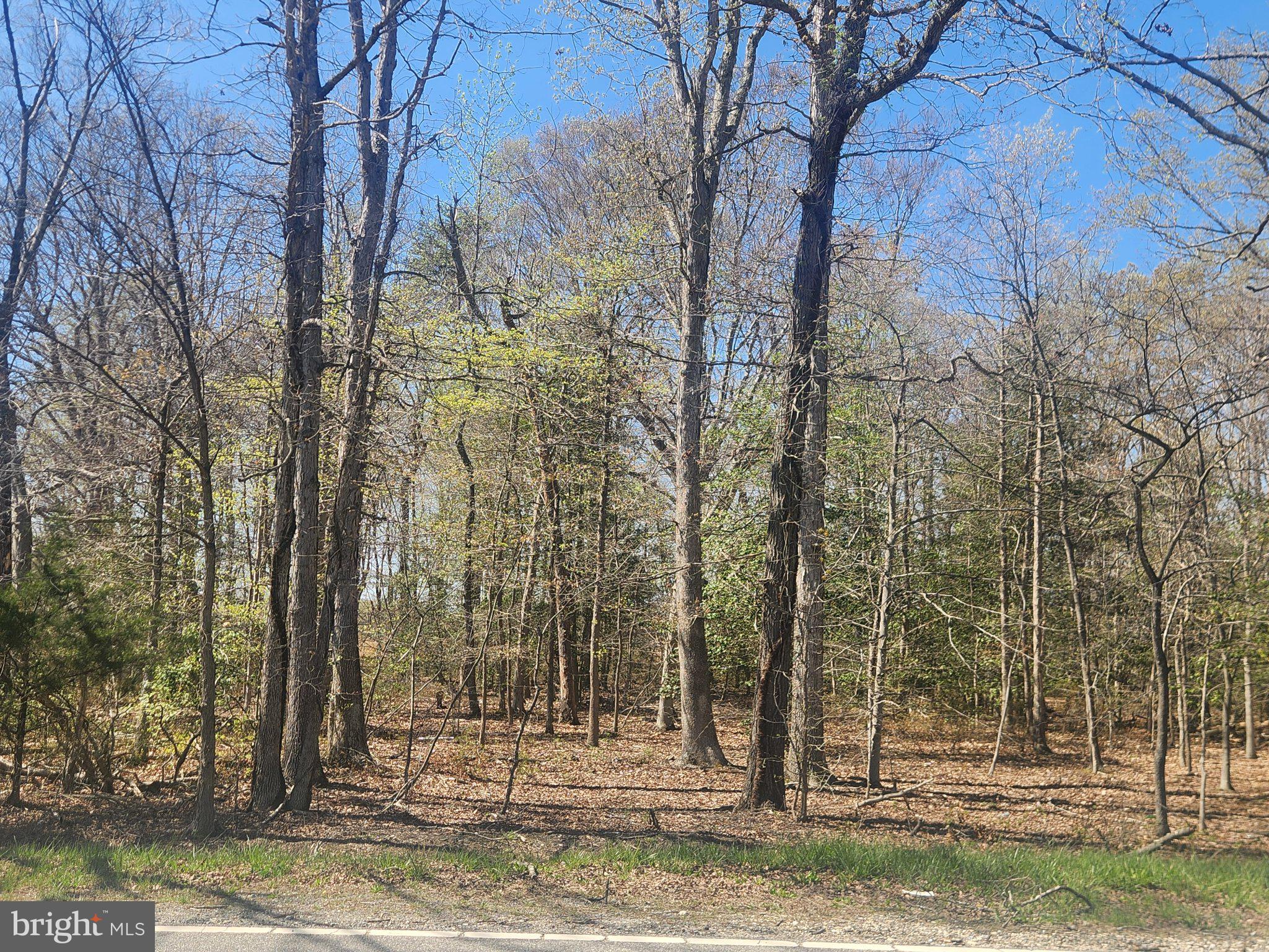EARLY MANOR - Land
