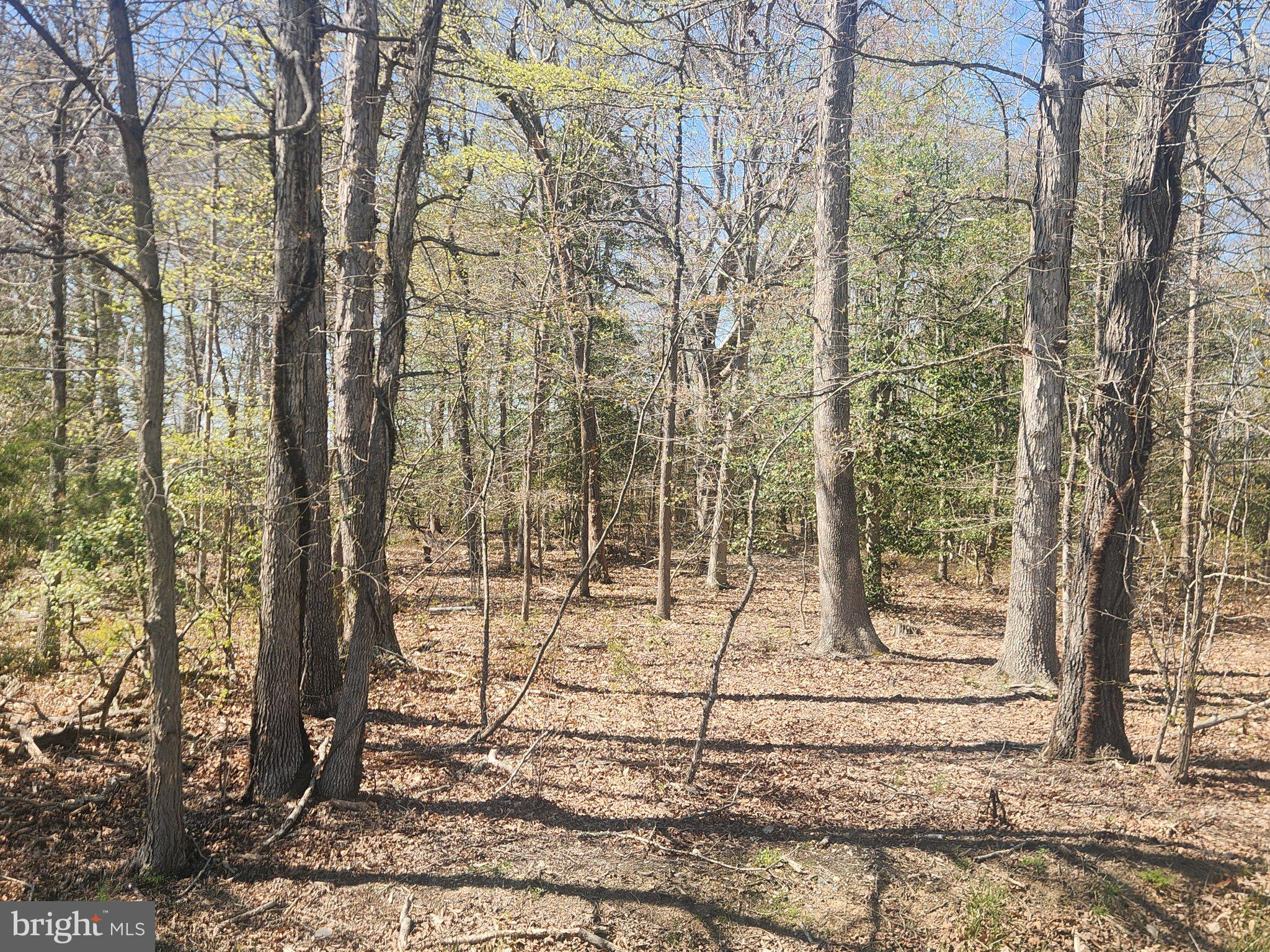 EARLY MANOR - Land