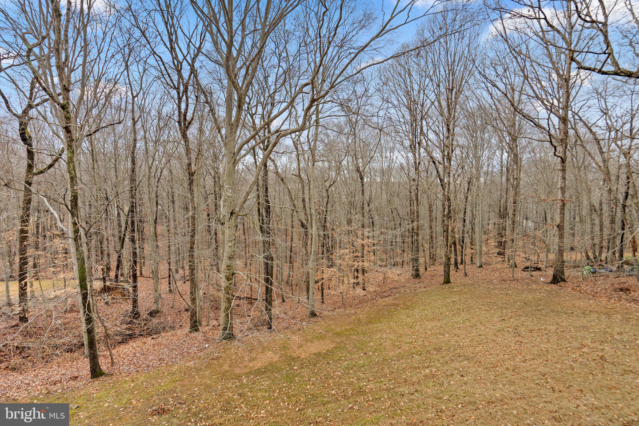 CANNON BLUFF - Residential