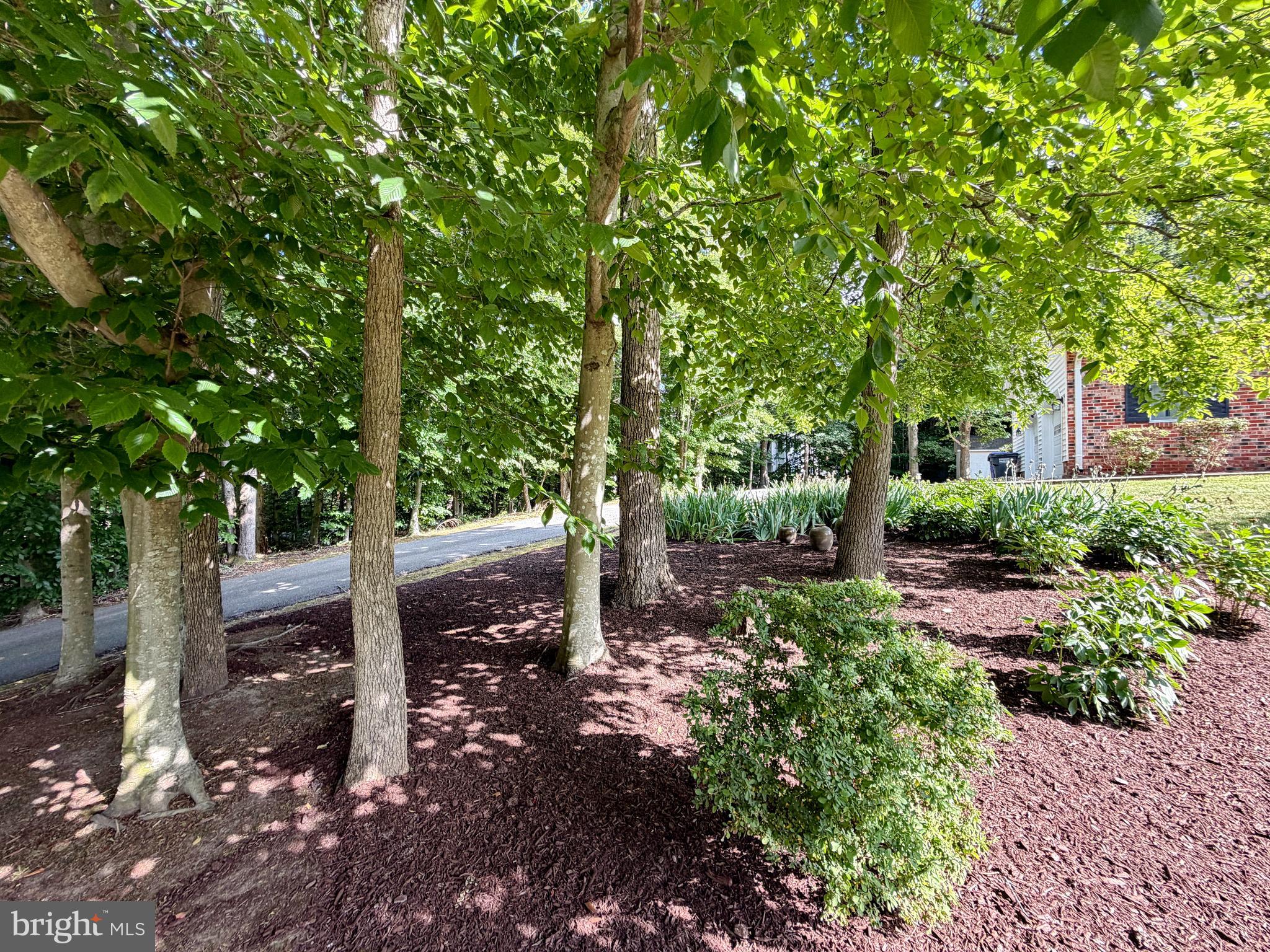 MORGANS RIDGE - Residential
