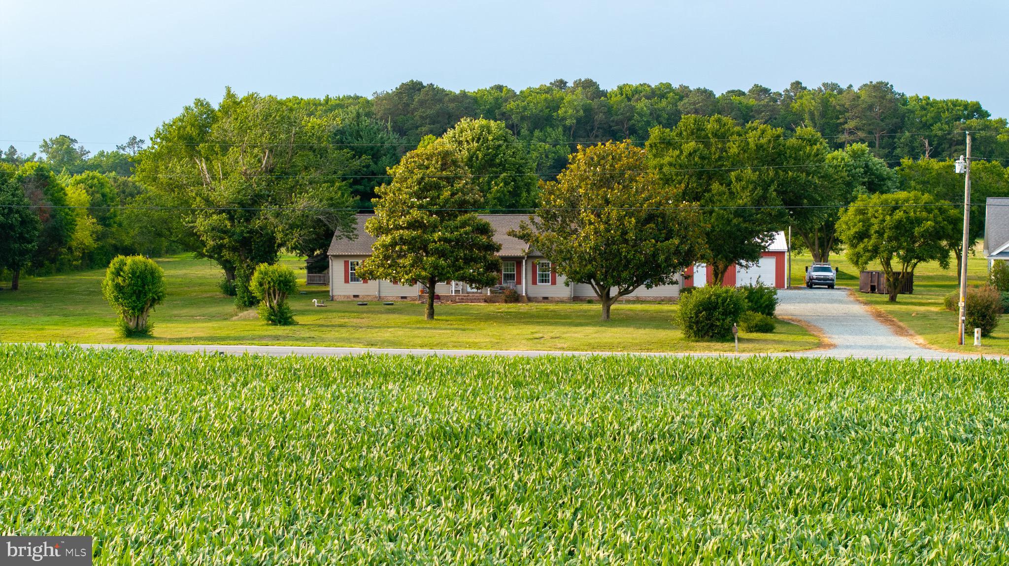 Nestled on 2.76± acres in the highly sought-after Delmar School District, this exceptional property offers the perfect blend of comfortable one-level living, privacy, and versatility.

With over 2,000 square feet of living space, this well-maintained ranch home features both an attached garage and an impressive 20’ x 40’ detached workshop complete with 10-foot ceilings, 8-foot overhead doors, concrete floors, and electricity—ideal for hobbyists, contractors, storage, or recreational equipment.

Inside, you’ll find a spacious eat-in kitchen showcasing custom handcrafted cabinetry, abundant counter space, and room for family gatherings. The inviting living room features beautiful hardwood flooring and a stunning brick wood-burning fireplace, creating a warm and welcoming atmosphere.

The oversized primary suite serves as a private retreat with a spacious ensuite bathroom featuring a tiled walk-in shower, soaking tub, and generous closet space.

Along the rear of the home, a bright four-season flex room is surrounded by expansive windows, offering the perfect space for a home office, sunroom, family room, or additional entertaining area while overlooking the peaceful backyard.
Outside, you’ll appreciate the privacy and open space that 2.76 acres provides while still enjoying the convenience of being just minutes from Delmar, Salisbury, shopping, dining, and local amenities.

Whether you’re looking for room to spread out, space for your hobbies, or simply a peaceful place to call home, this unique property offers endless possibilities.