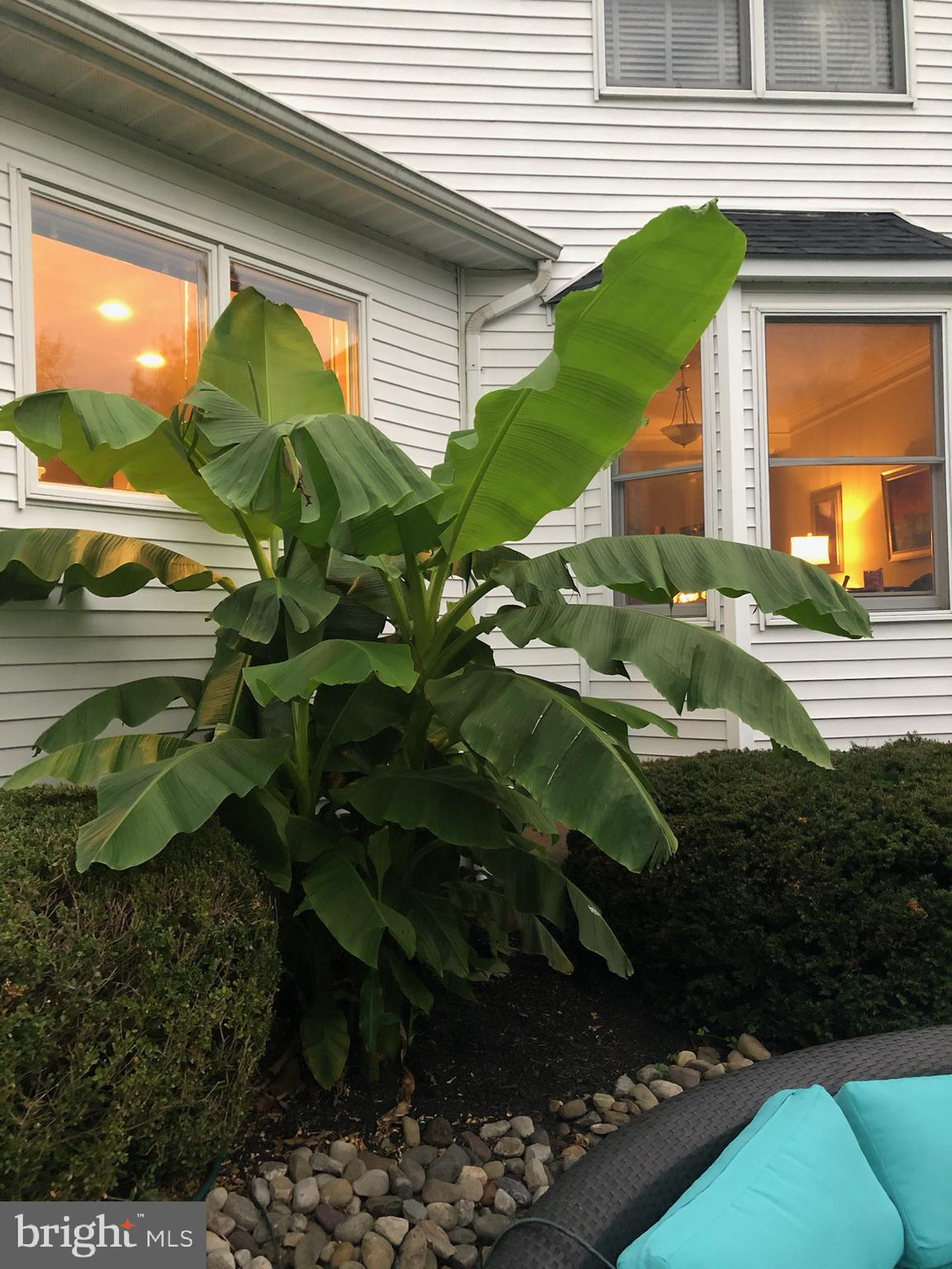 BRIDLE ESTATES - Residential