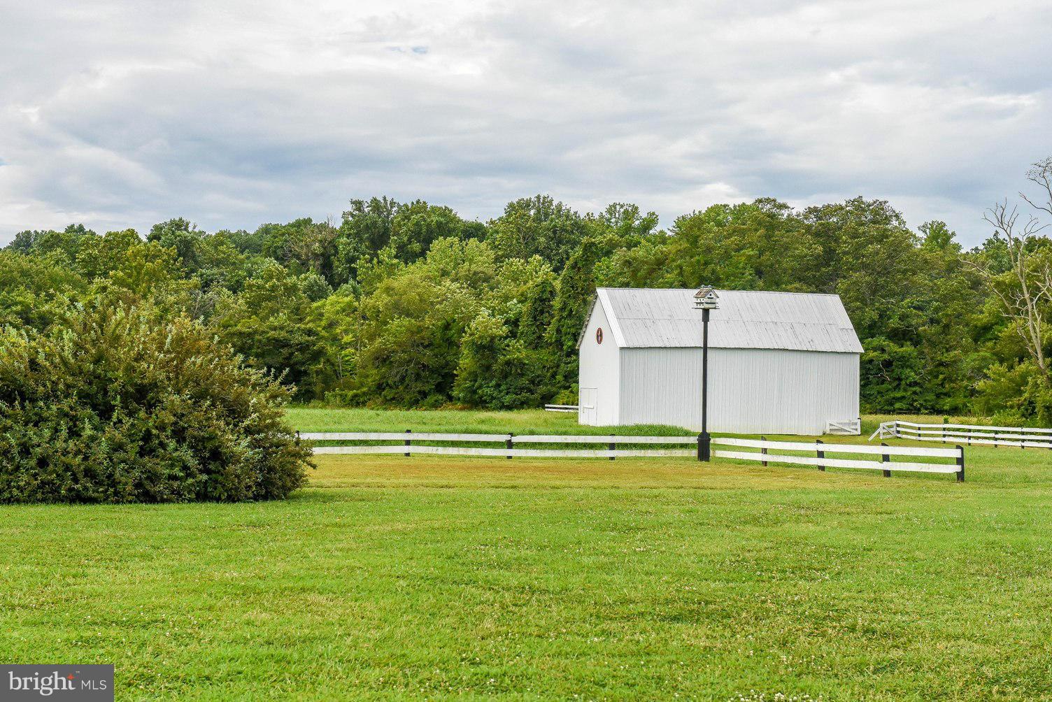 NONE AVAILABLE - Farm