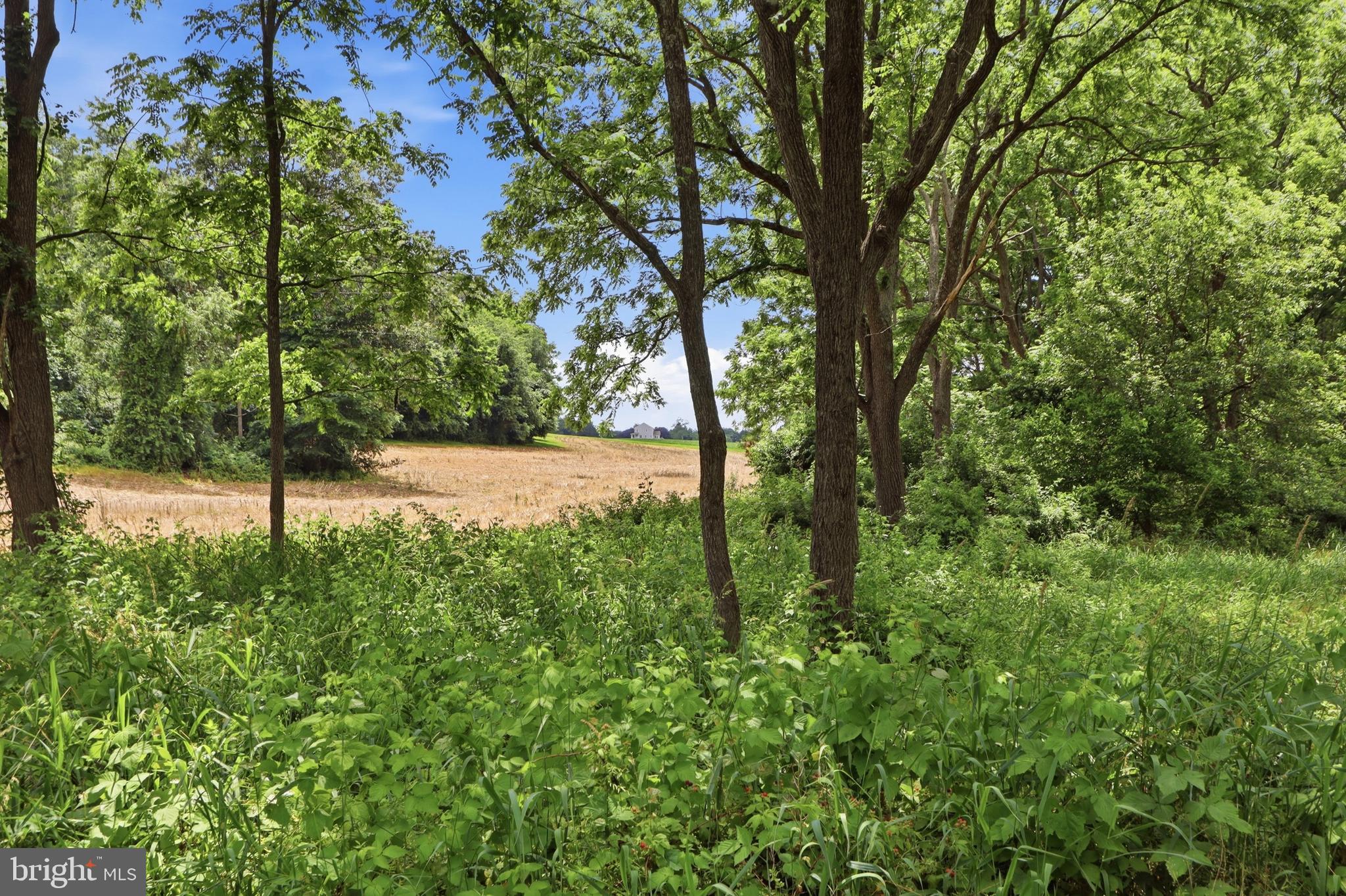 NORRISVILLE - Land
