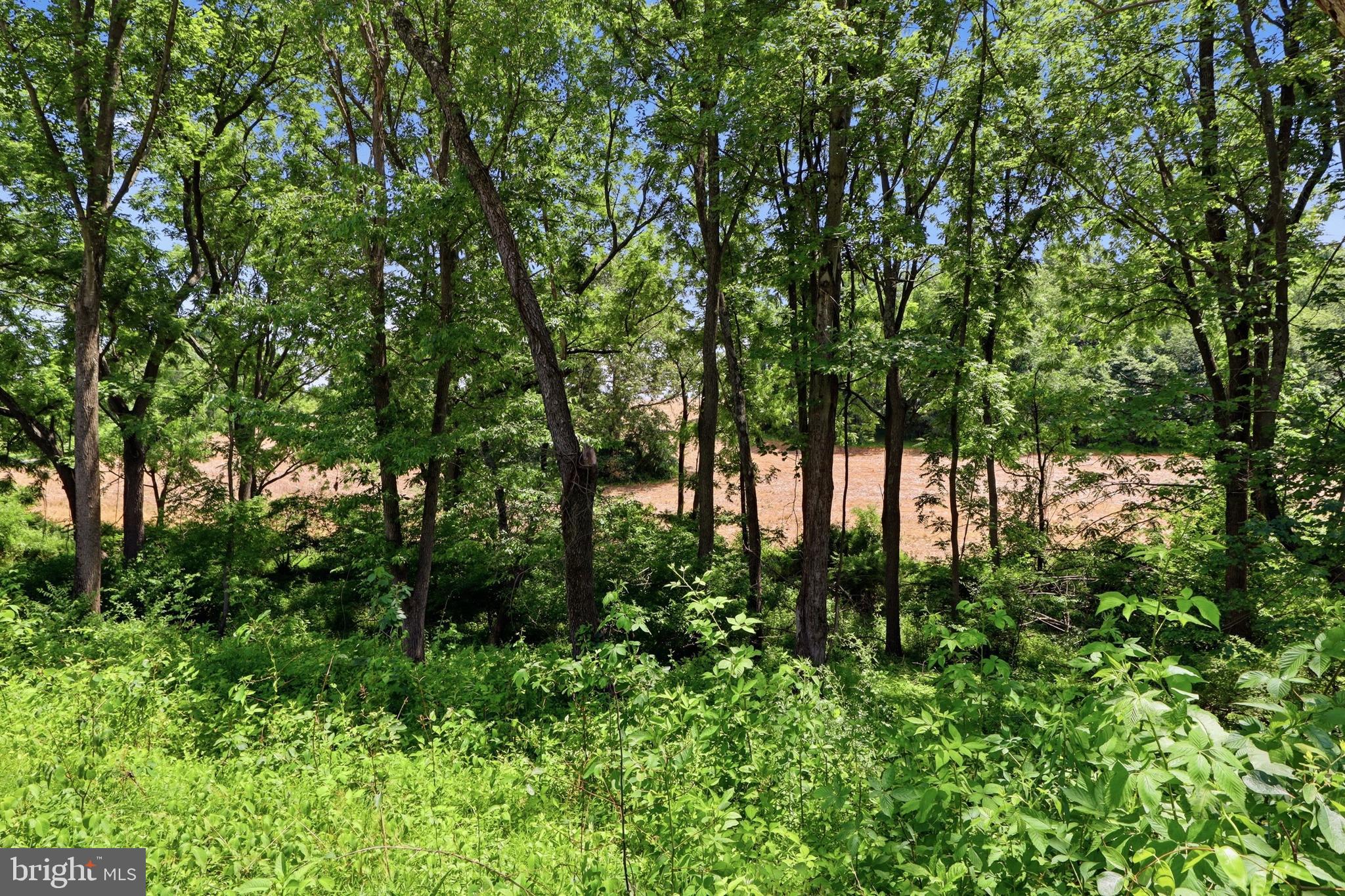 NORRISVILLE - Land