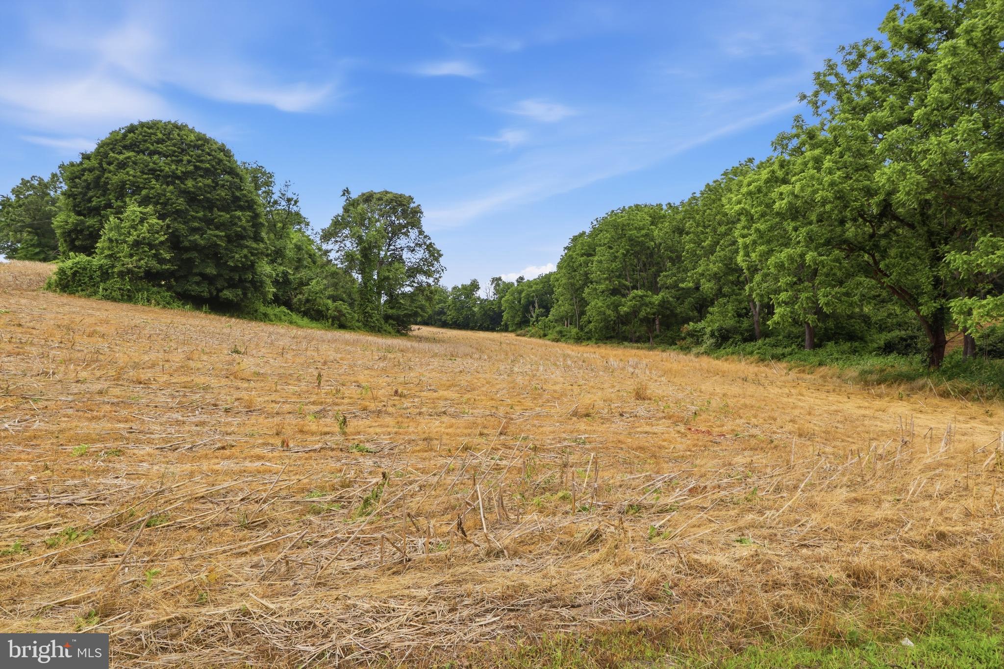 NORRISVILLE - Land