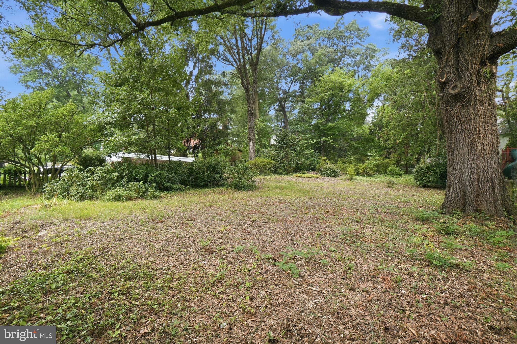 CALVERT HILLS - Residential