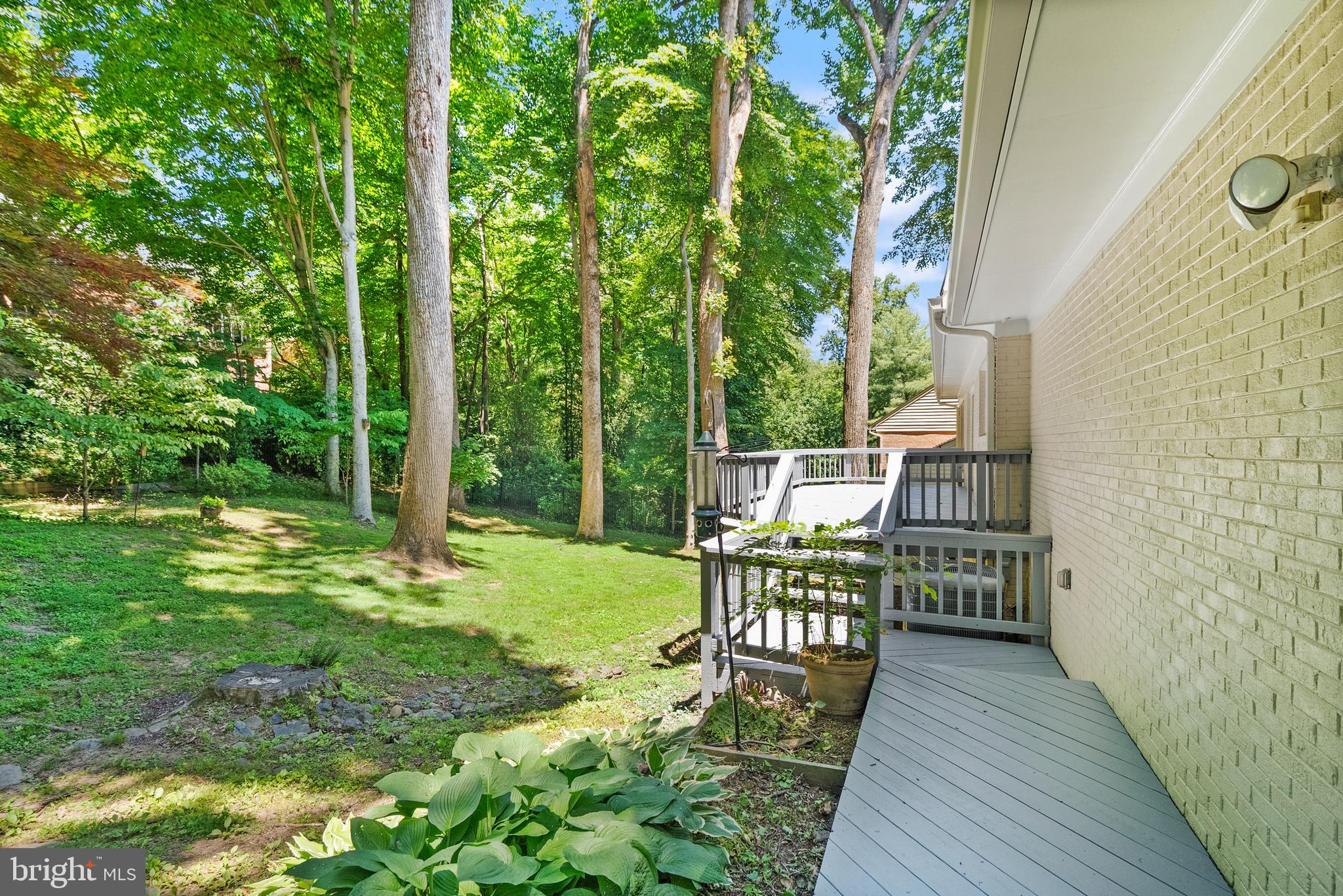 CHAIN BRIDGE FOREST - Residential