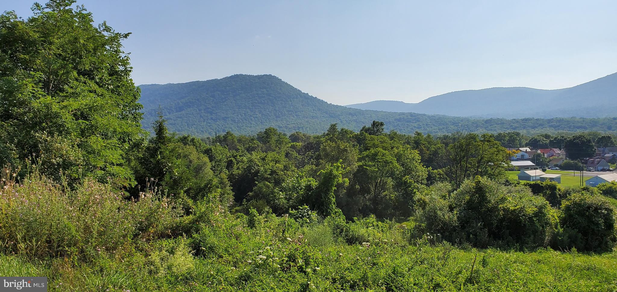LOUDON'S VIEW - Land