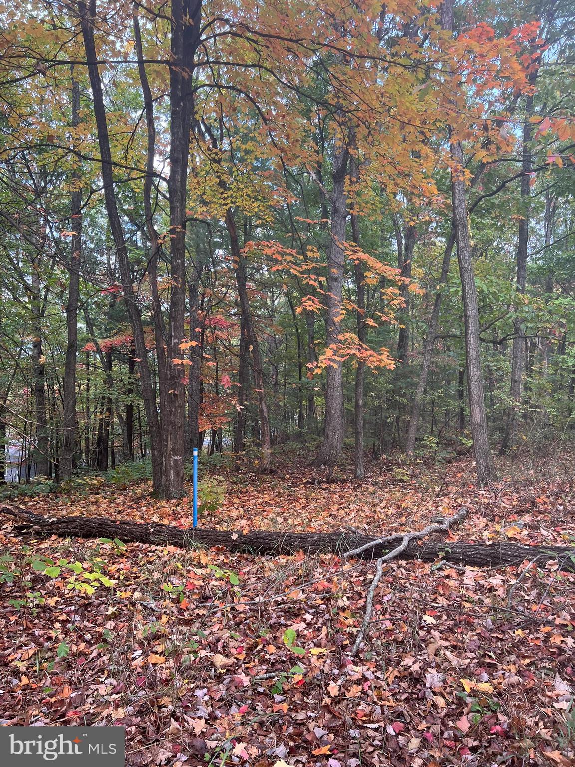**PRICED TO SELL** Looking to build your dream getaway on the top of the mountain?  Look no further.... This great lot offers a great place build your dream getaway in Bryce Mountain Resort in Shenandoah County.  This lot is flat with paved road access providing easy to build and easy access.  Short distance to Lake Laura where there is boating, swimming, paddle boarding, fishing and more. Short drive to Resort dining, skiing, golf, snow tubing and mountain biking. Bring your builder and design your dream home here at Bryce Mountain, A FOUR SEASONS RESORT.  

Seller holds a real estate license in VA