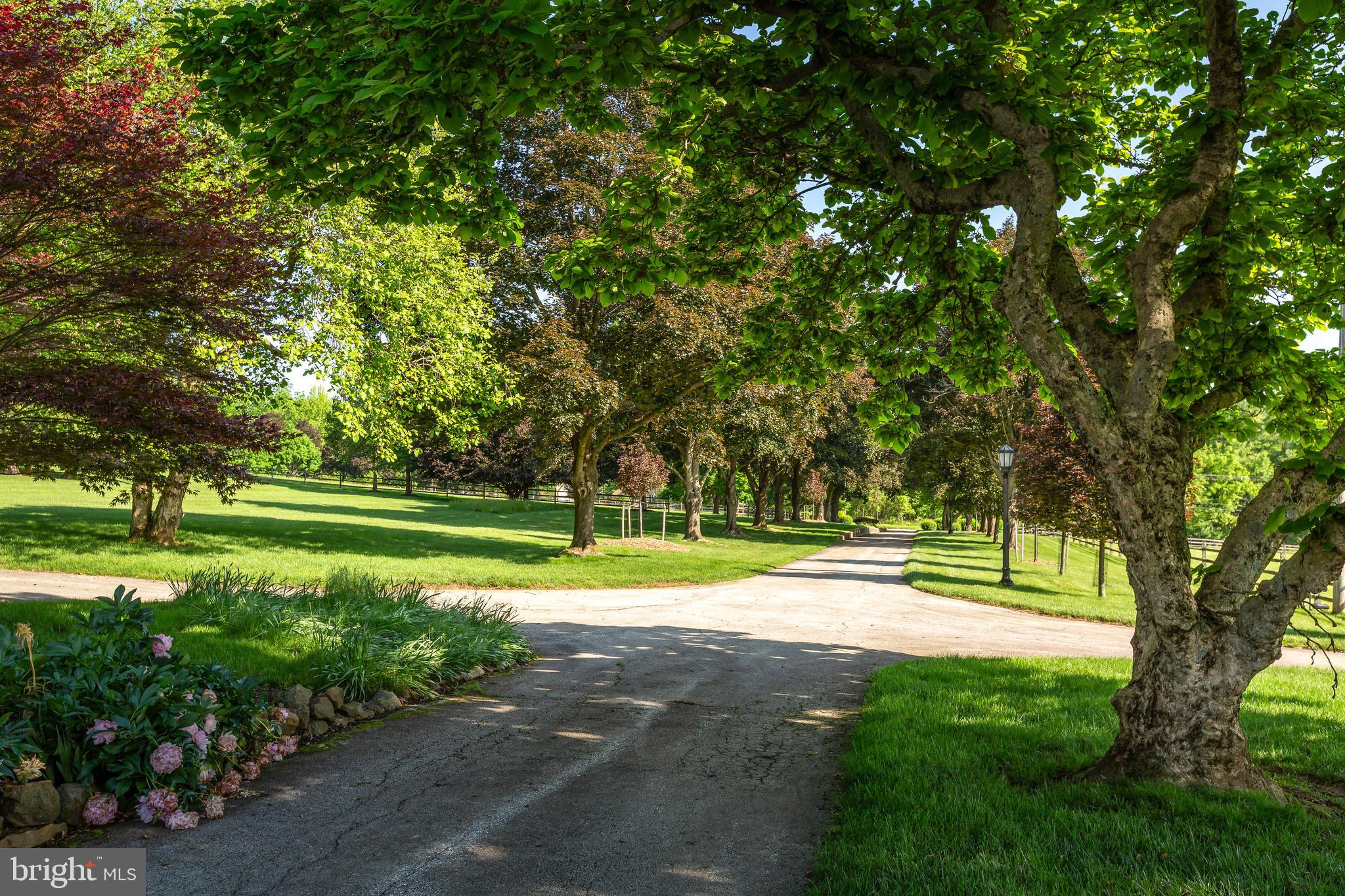 RADNOR HUNT - Residential