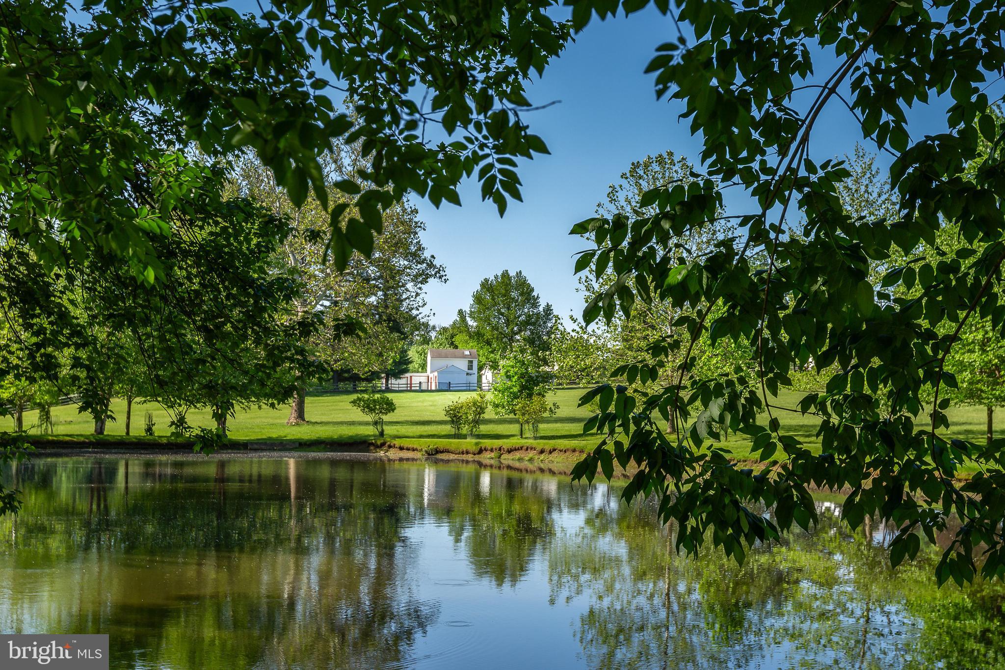 RADNOR HUNT - Residential