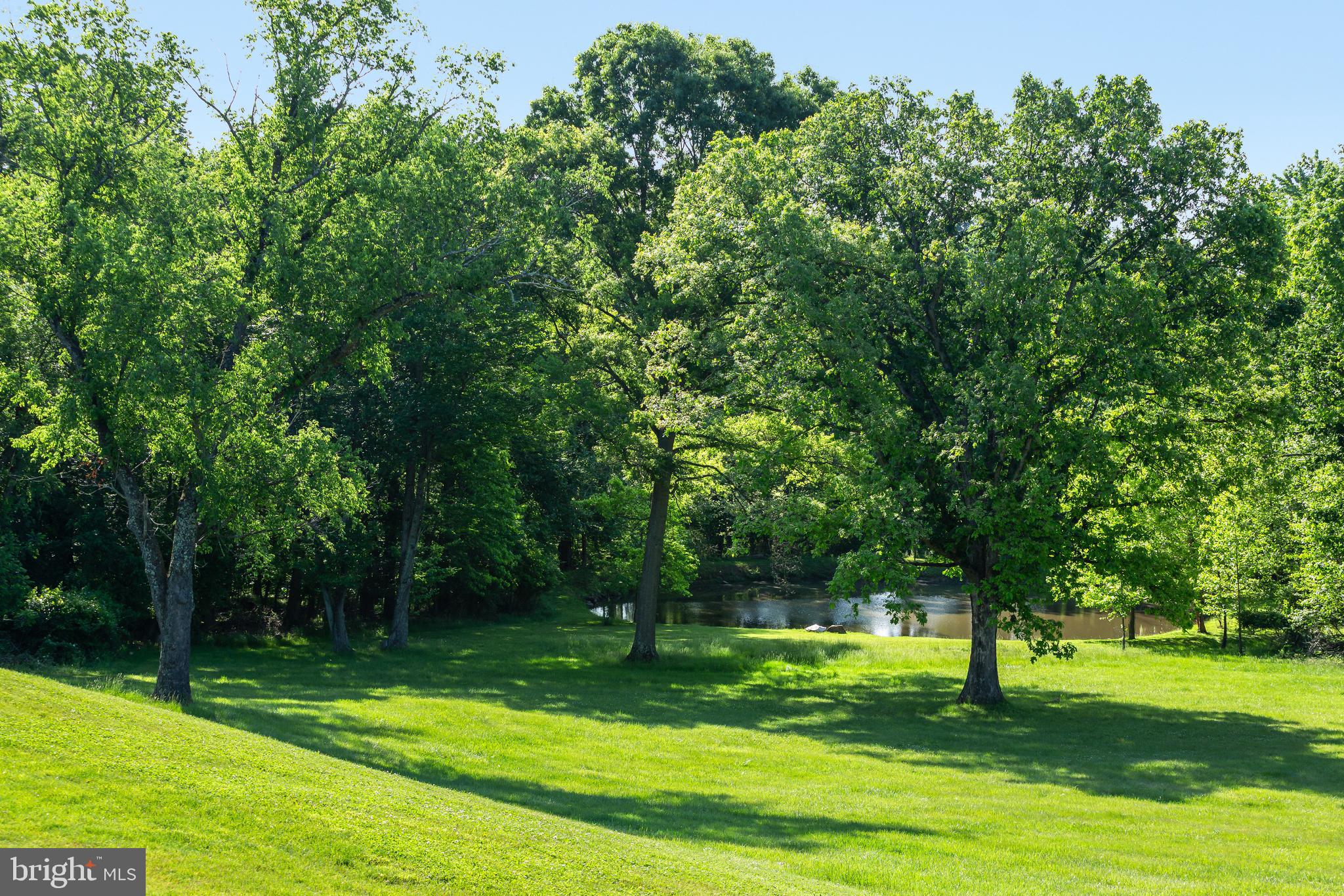 RADNOR HUNT - Residential