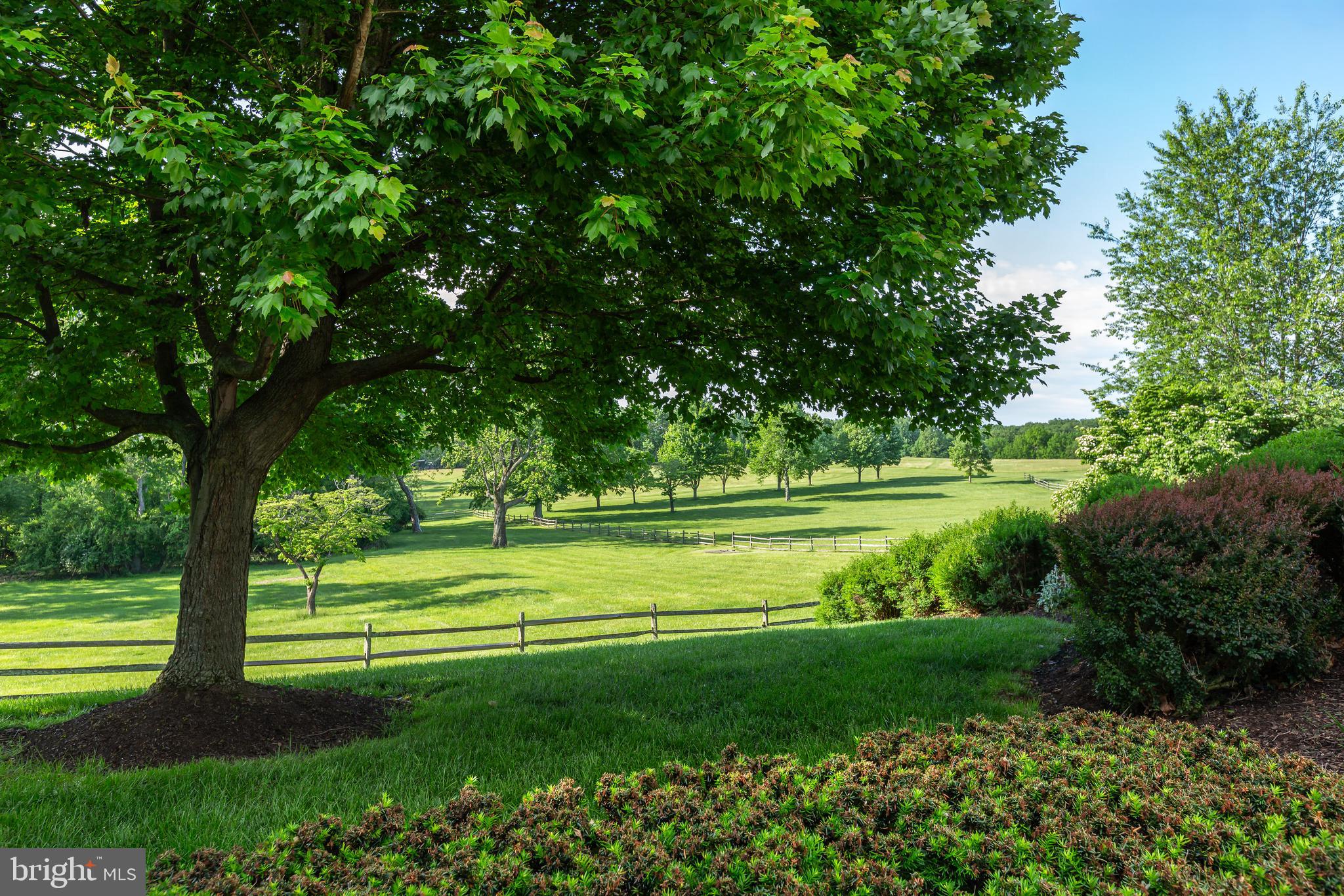 RADNOR HUNT - Residential