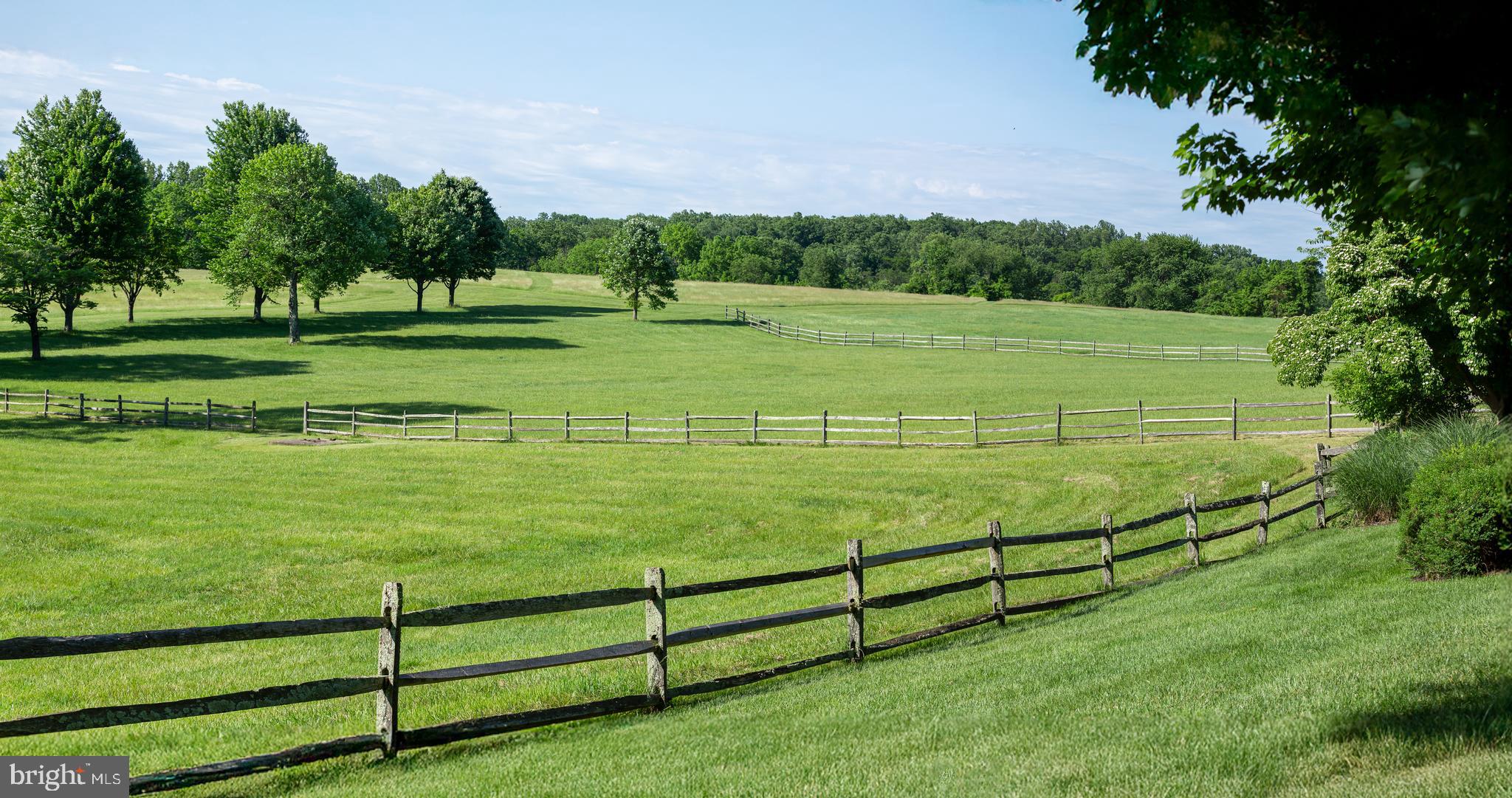 RADNOR HUNT - Residential