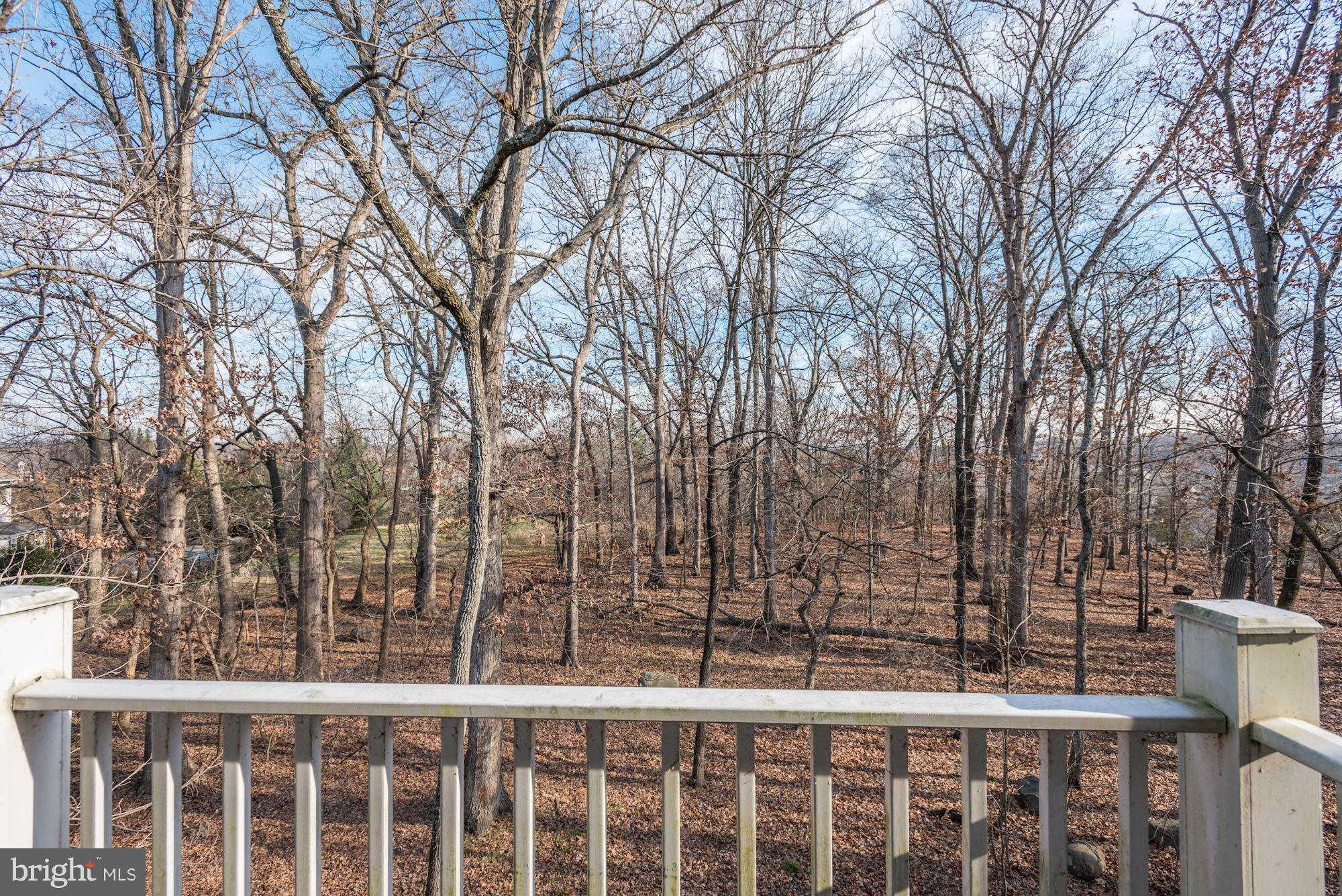 LANSDOWNE ON THE POTOMAC - Residential