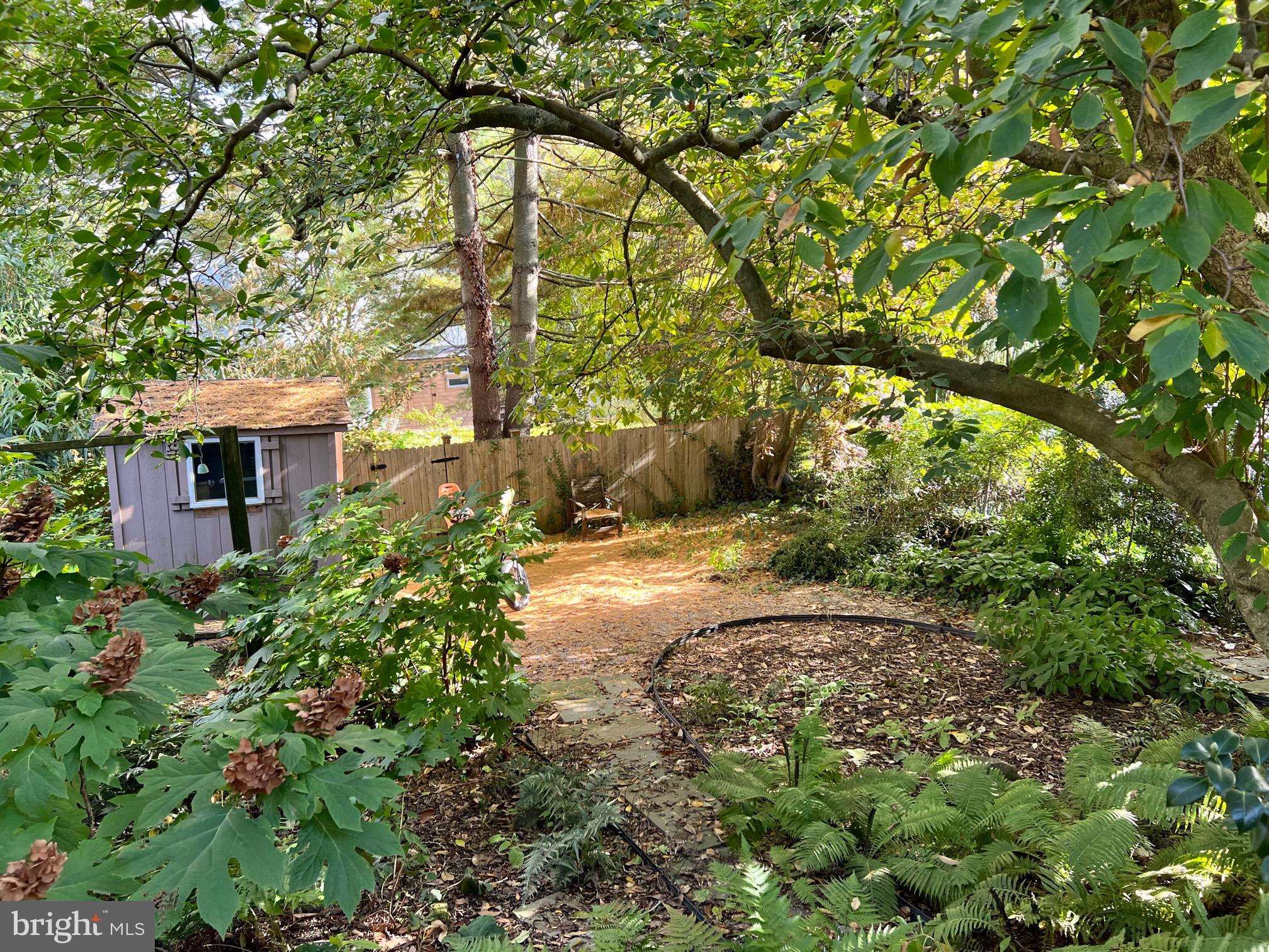 CHESTNUT HILL - Residential Lease