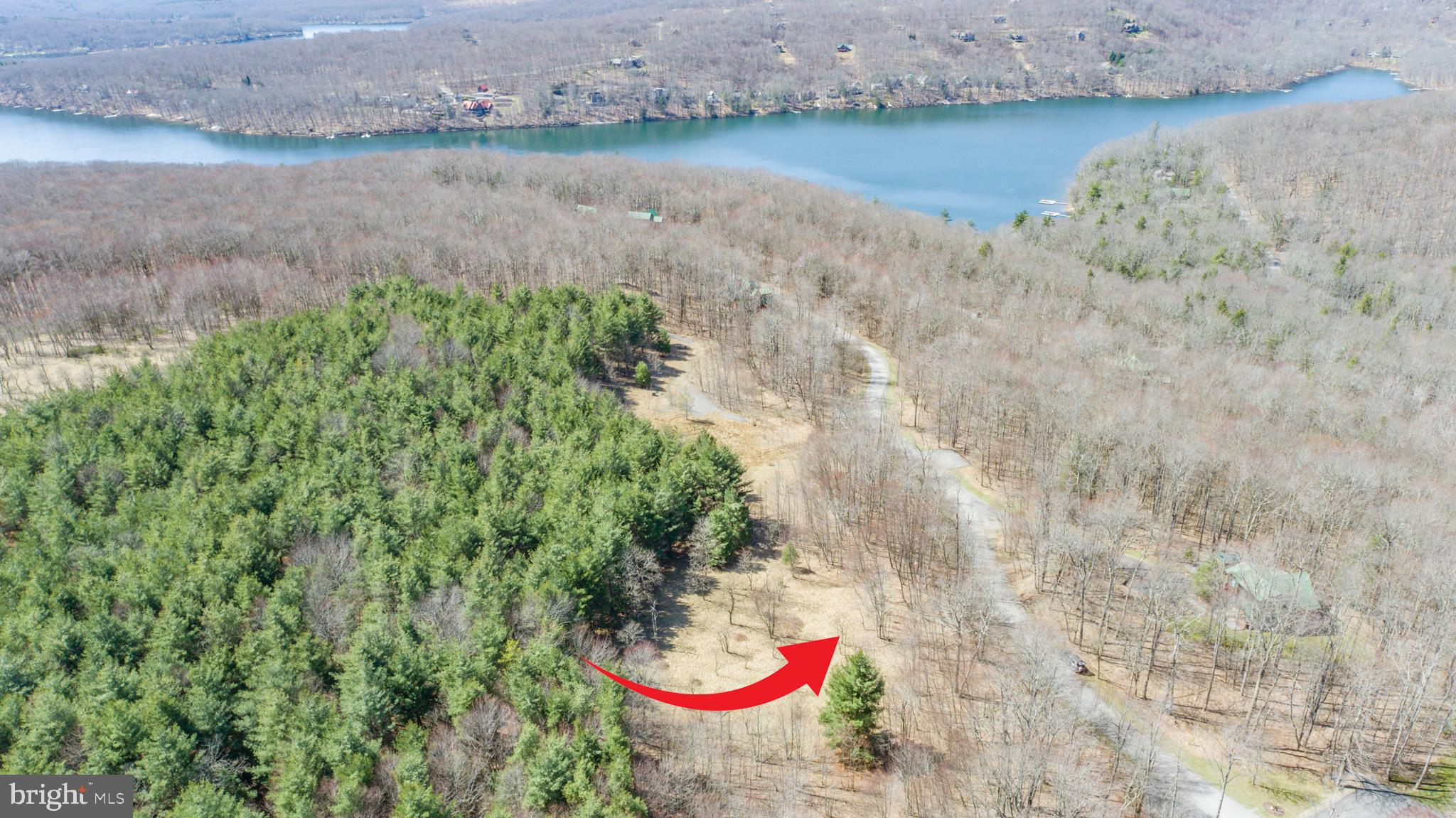 GALLATIN WOODS - Land