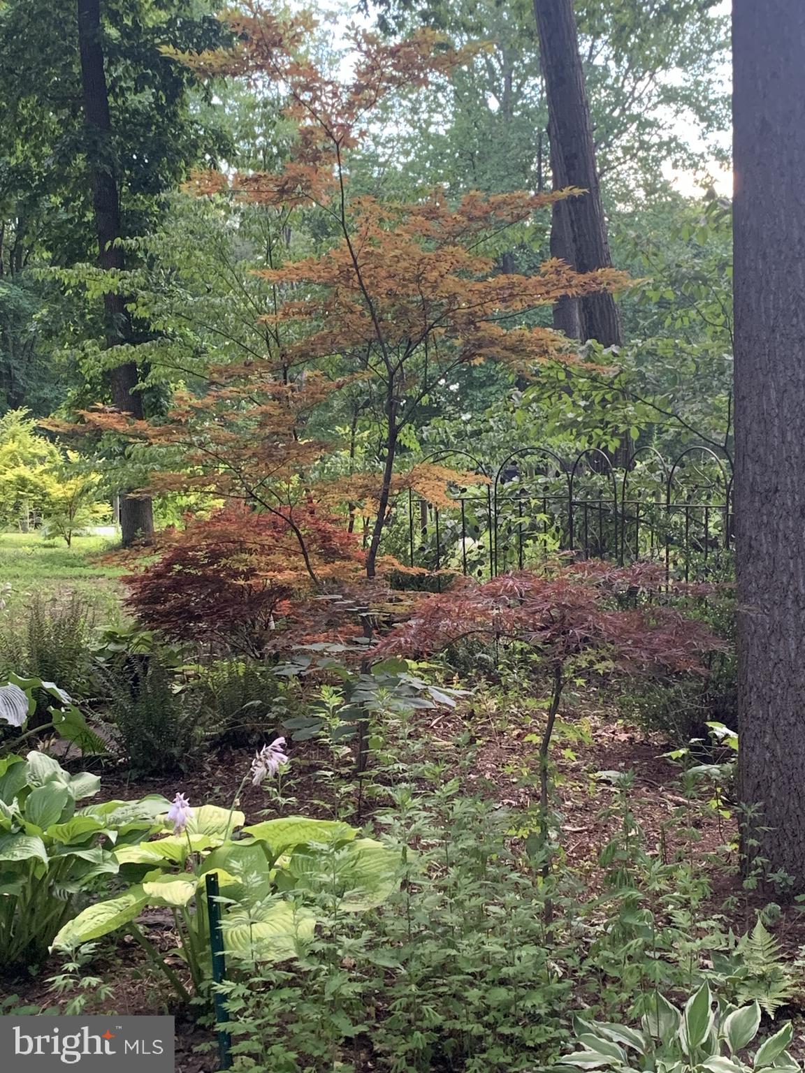DAVIDSONVILLE - Residential