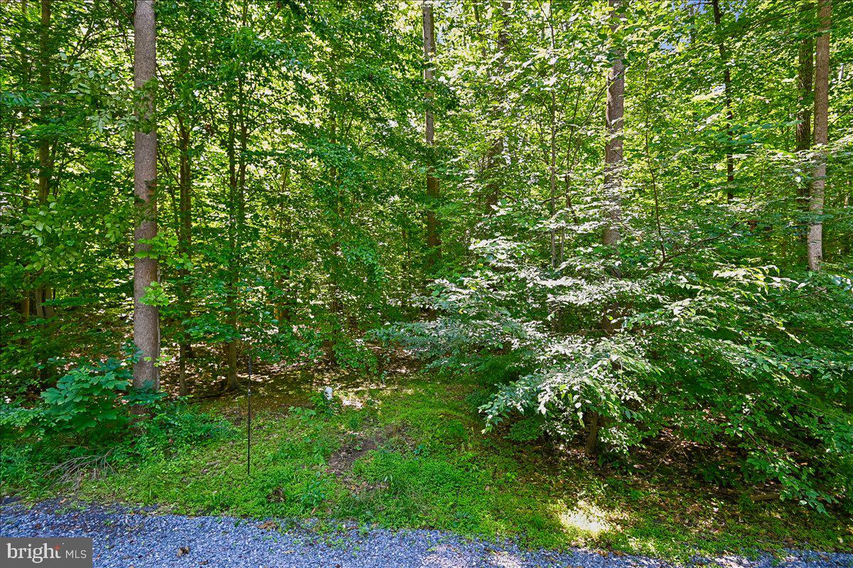 DAVIDSONVILLE - Residential